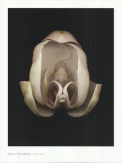 2004 After Joyce Tenneson 'Orchid' Photography Offset Lithograph