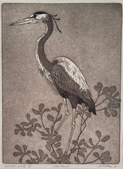 GARZA AZUL