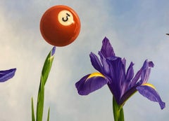 Bird, ladybird & flowers- 21st Century Contemporary hyper realistic Painting