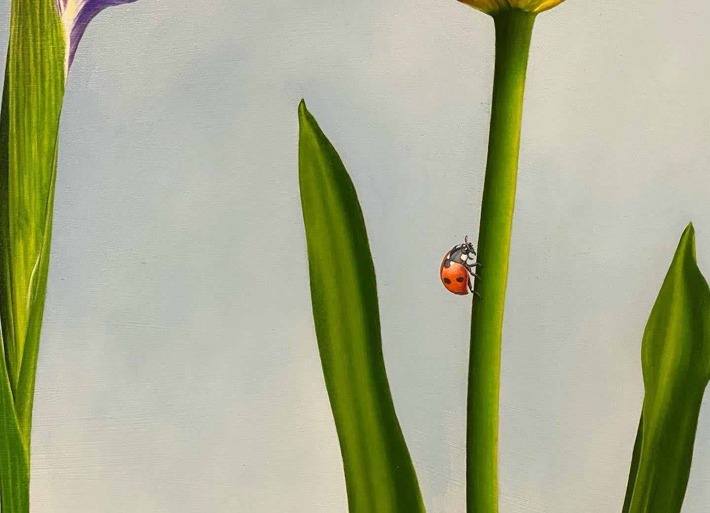 JP Marsman
Bird, ladybird & flowers
Oilpainting on wood panel
100 x 140 cm ( the painting is framed in a wooden black frame (see pictures)
With the frame the size is 110 x 150 cm (frame is included in price)

JP Marsman's cheerful and