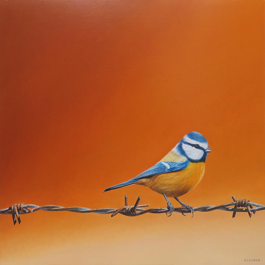JP Marsman Animal Painting – Freedom IX – 21. Jahrhundert  Gemälde eines Vogels auf gestapeltem Draht