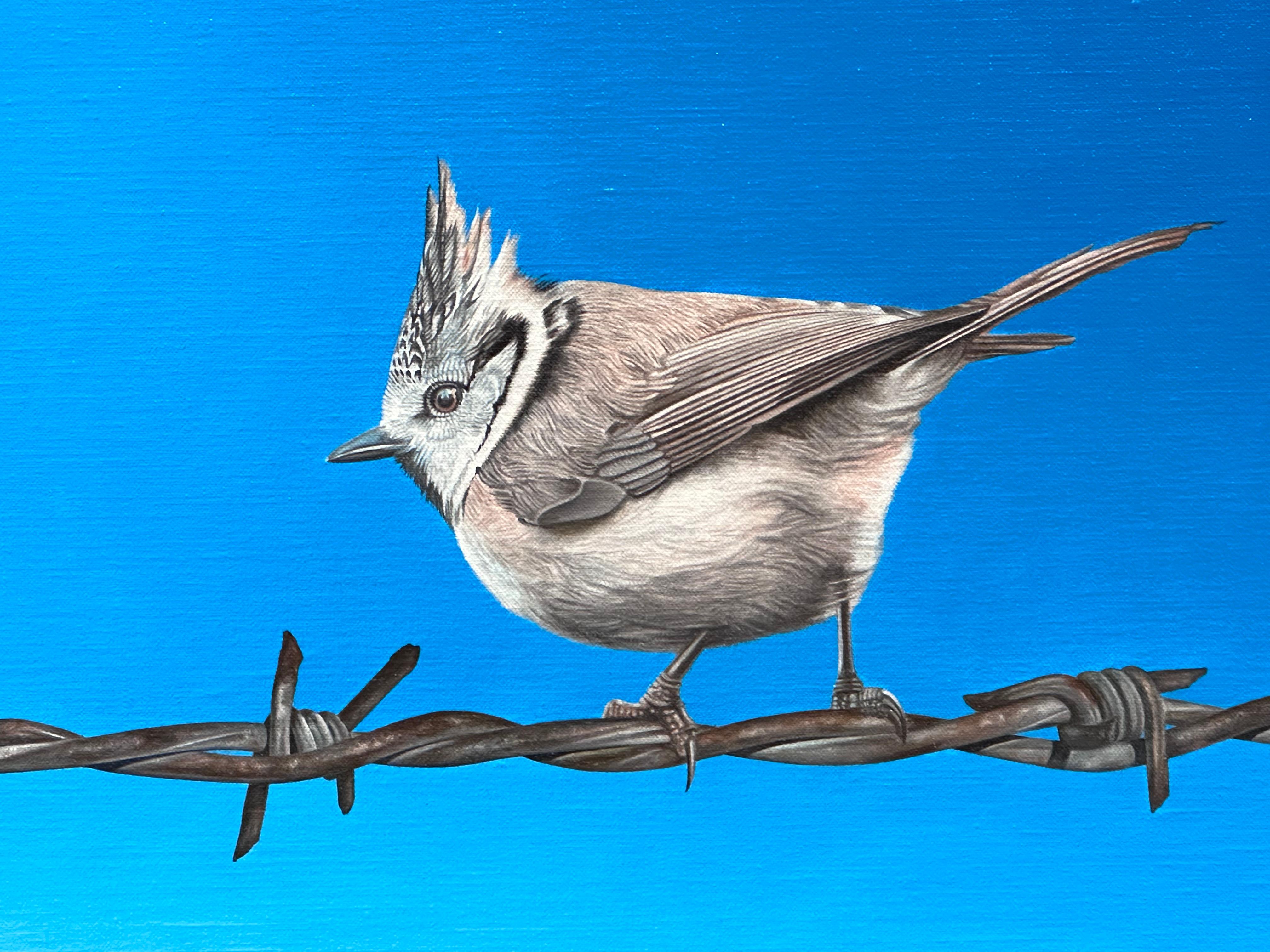 Freedom VIII – 21. Jahrhundert  Gemälde eines Vogels auf gestapeltem Draht – Painting von JP Marsman