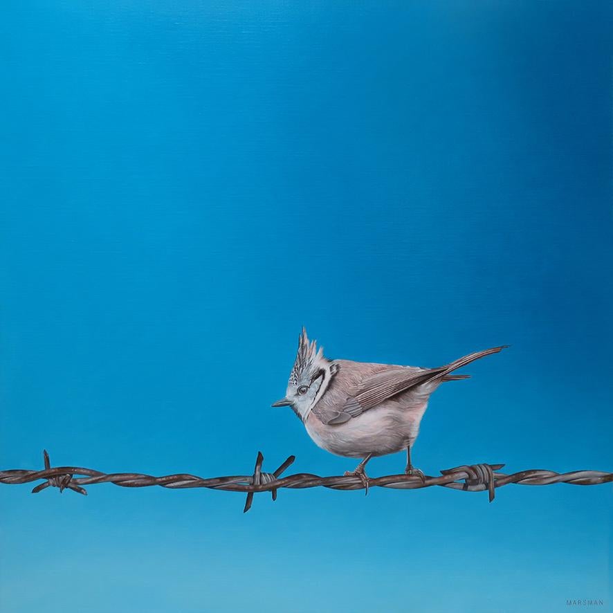 JP Marsman Figurative Painting – Freedom VIII – 21. Jahrhundert  Gemälde eines Vogels auf gestapeltem Draht