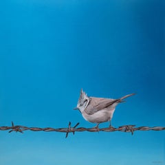 Freedom VIII – 21. Jahrhundert  Gemälde eines Vogels auf gestapeltem Draht