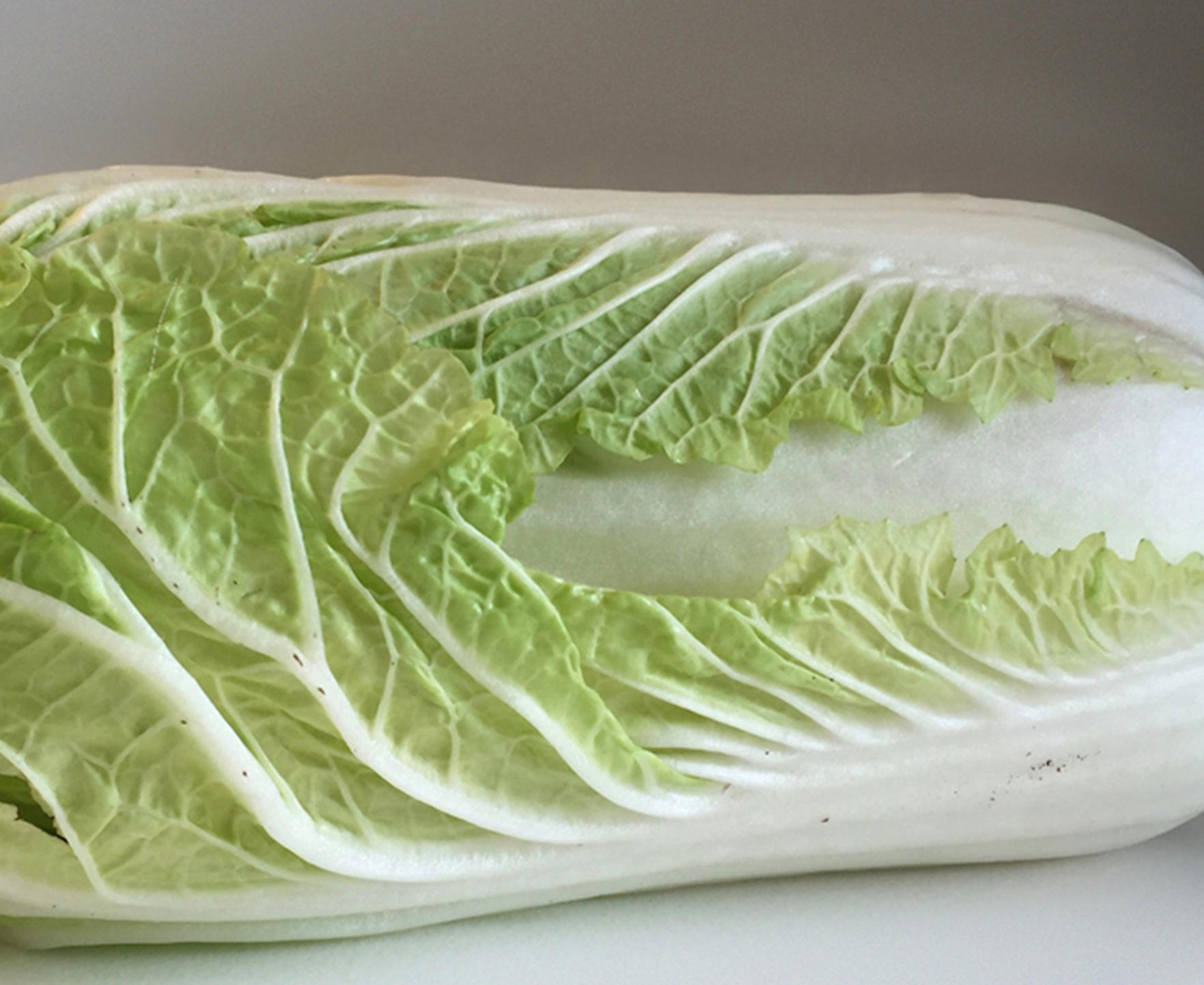 Great Tit- 21st Century Hyperrealistic painting of a tit on a cabbage. - Contemporary Painting by JP Marsman