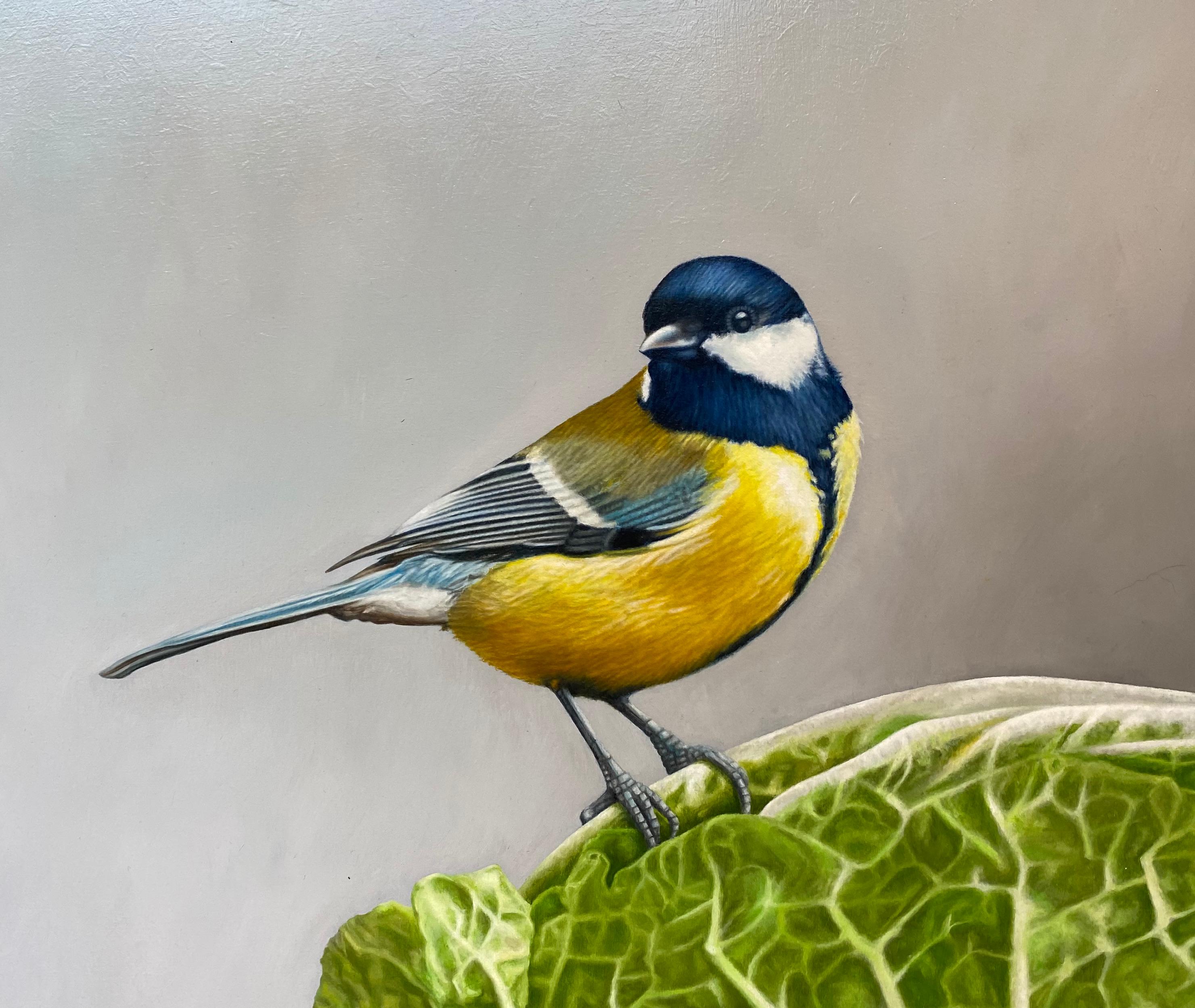 Great Tit- 21st Century Hyperrealistic painting of a tit on a cabbage. - Gray Still-Life Painting by JP Marsman