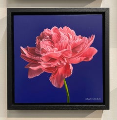 Peony - 21st Century contemporary Hyper realistic oil painting of a peony flower