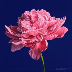 Peony - 21ème siècle contemporain Peinture à l'huile hyper réaliste d'une fleur de pivoine