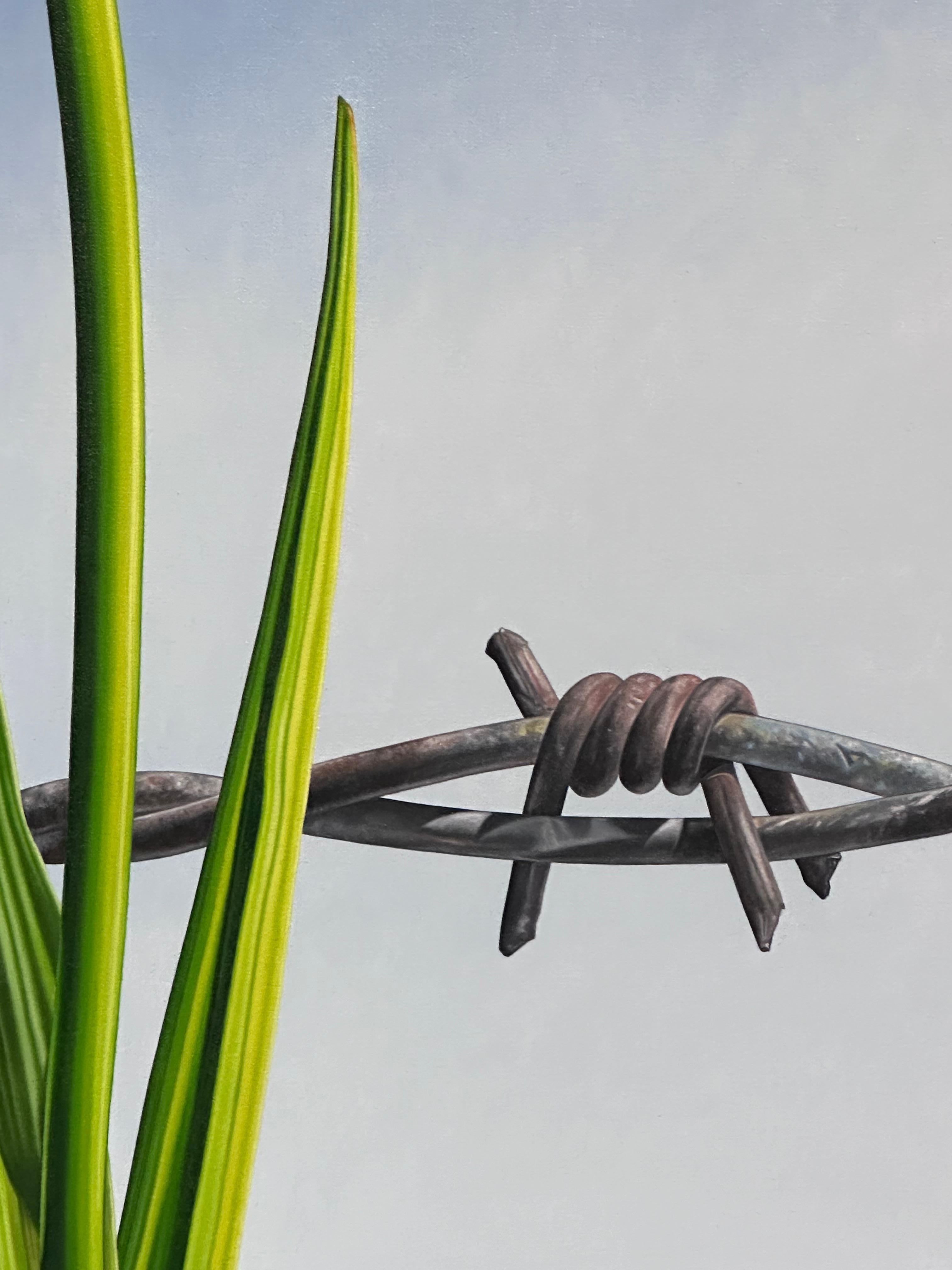 Without Borders- 21st Century  painting of two Tulips with barbed wire  For Sale 6