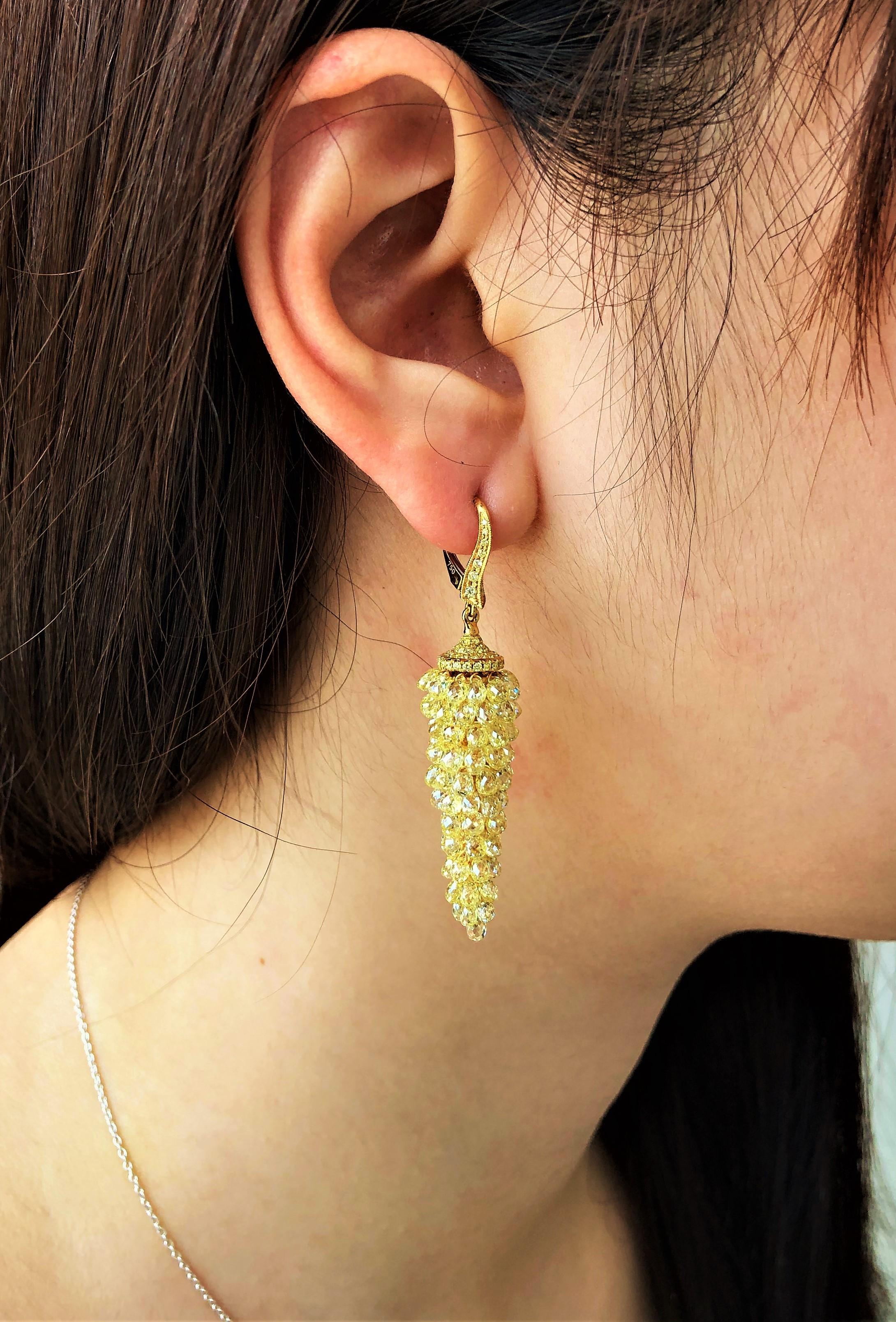JR 28.65 carats Diamant jaune Briolette Boucle d'oreille raisin

Réalisée à l'aide d'une technique très spéciale, cette boucle d'oreille en raisin briolette jaune ressemble à une œuvre d'art contemporain. La couleur jaune unique des briolettes rend