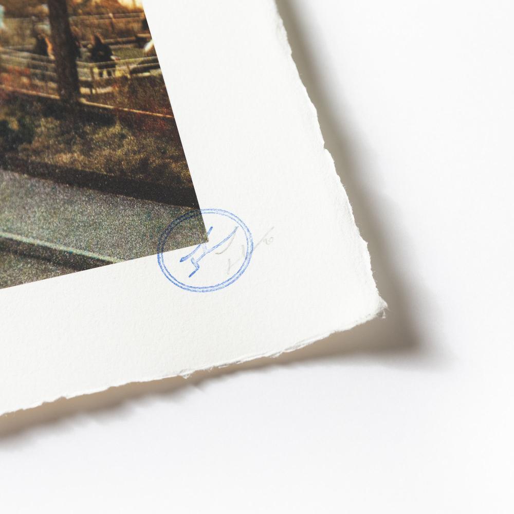 Die Chroniken von New York City, Domino Park, USA  - Zeitgenössisch, 21. Jahrhundert im Angebot 1