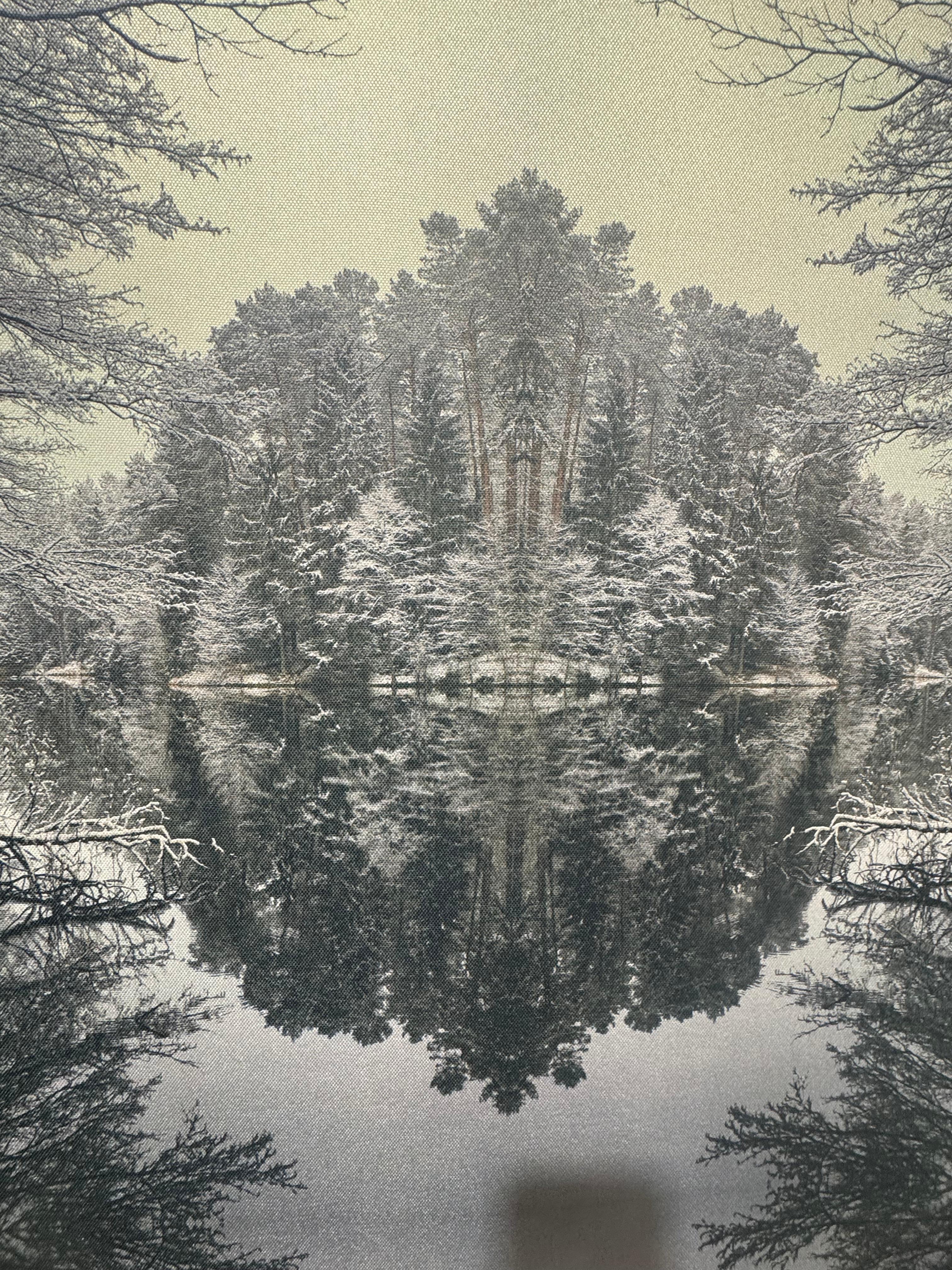 Photographic Composition Print on Silky Fabric Forest in the Island - Landscape - Gray Landscape Print by Jūratė Kazakevičiūtė