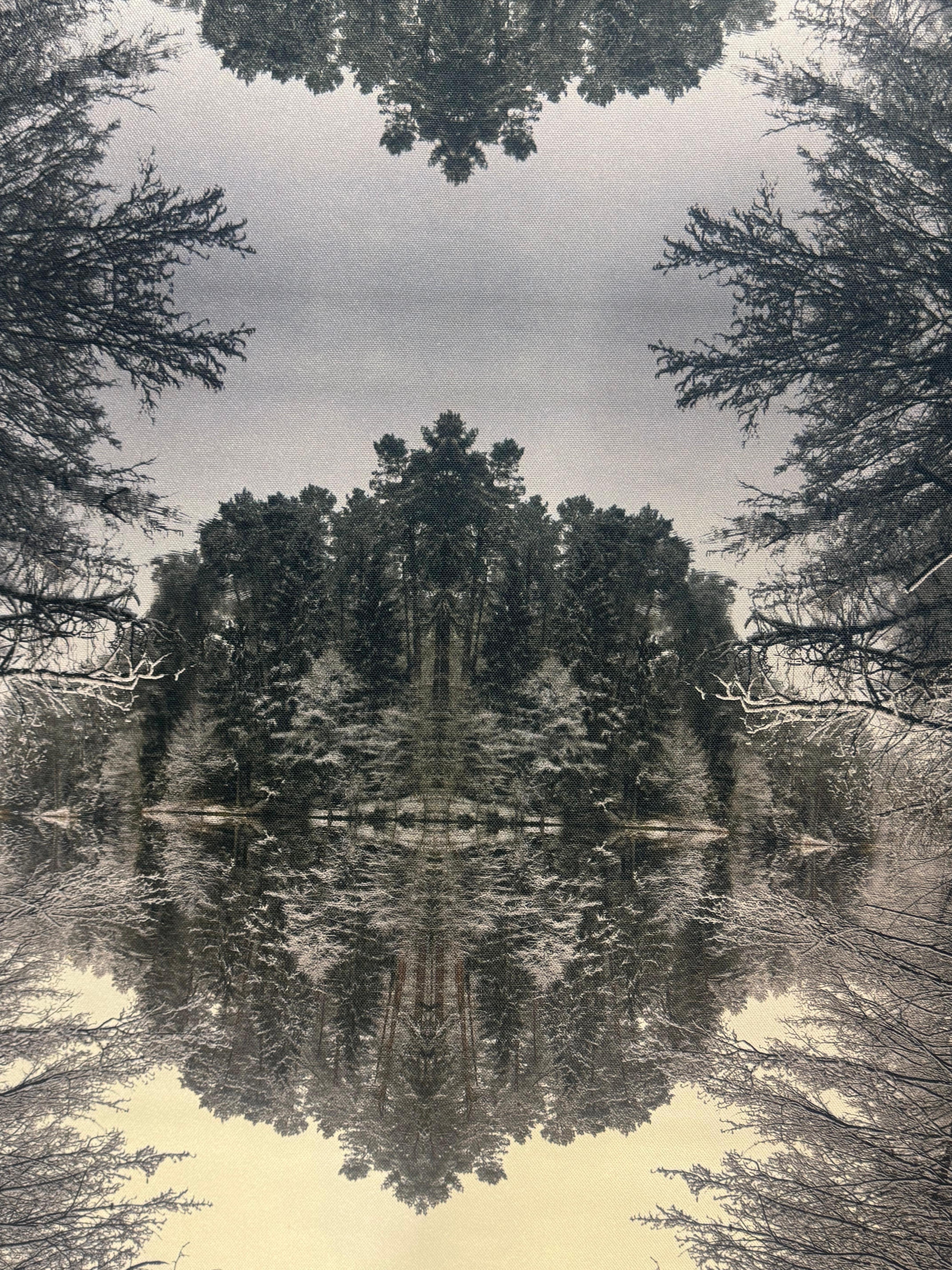 Photographic Composition Print on Silky Fabric Forest in the Island - Landscape For Sale 1