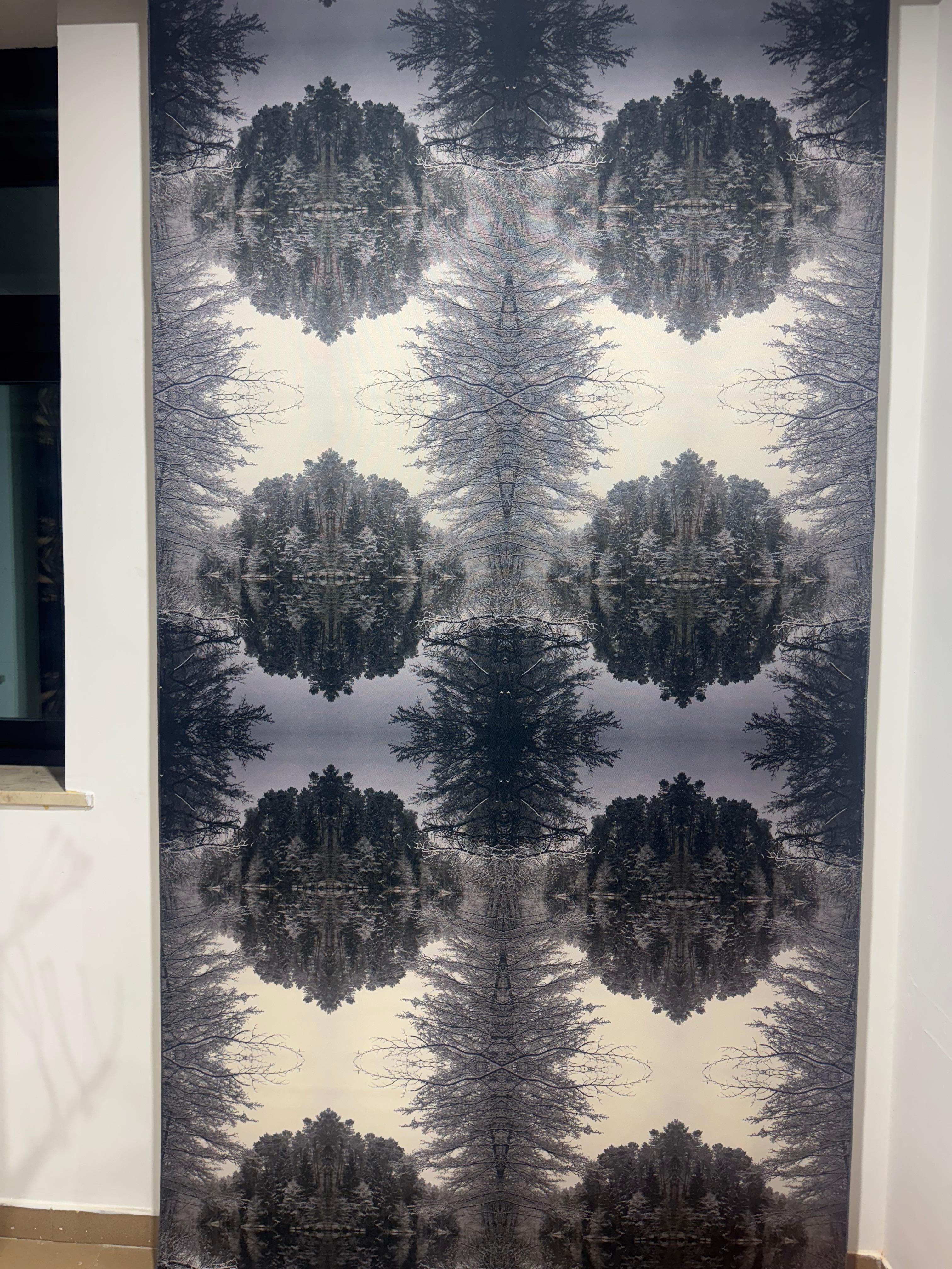 Jūratė Kazakevičiūtė Landscape Print - Photographic Composition Print on Silky Fabric Forest in the Island - Landscape