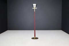 J.T. Kalmar Floor Lamp in Brass and Ruby Glass Rod, Austria, 1960s