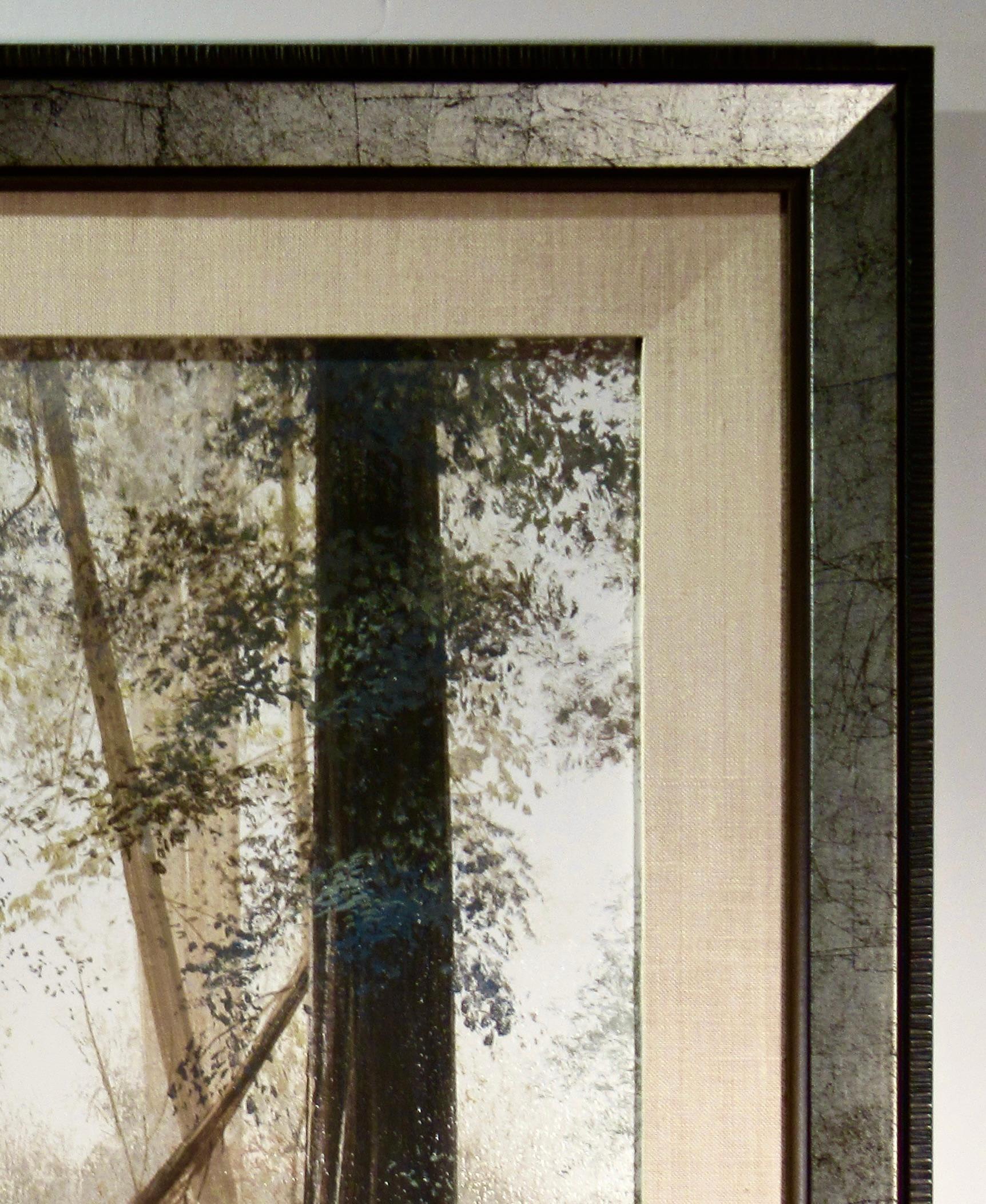 Forest Bright, Humbolt in vendita 1