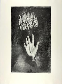 Original handsignierter Fotogravur des kubanischen Künstlers 30x22 in. n1