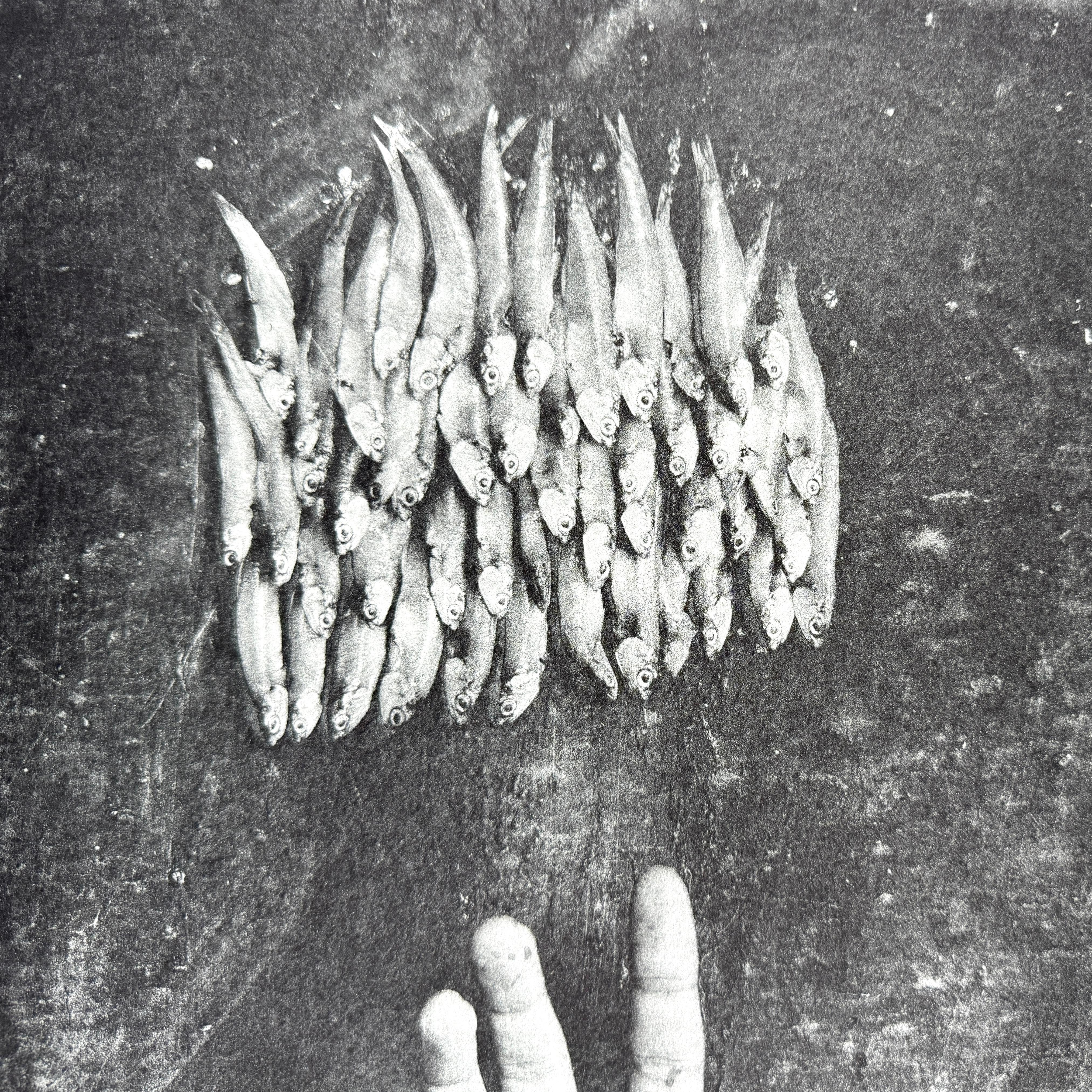 Cuban Artist Original Hand Signed photoengraving 30x22 in. n1 - Contemporary Print by Juan Carlos Alom