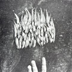 Photogravure originale signée à la main par l'artiste cubain 30x22 po. n1