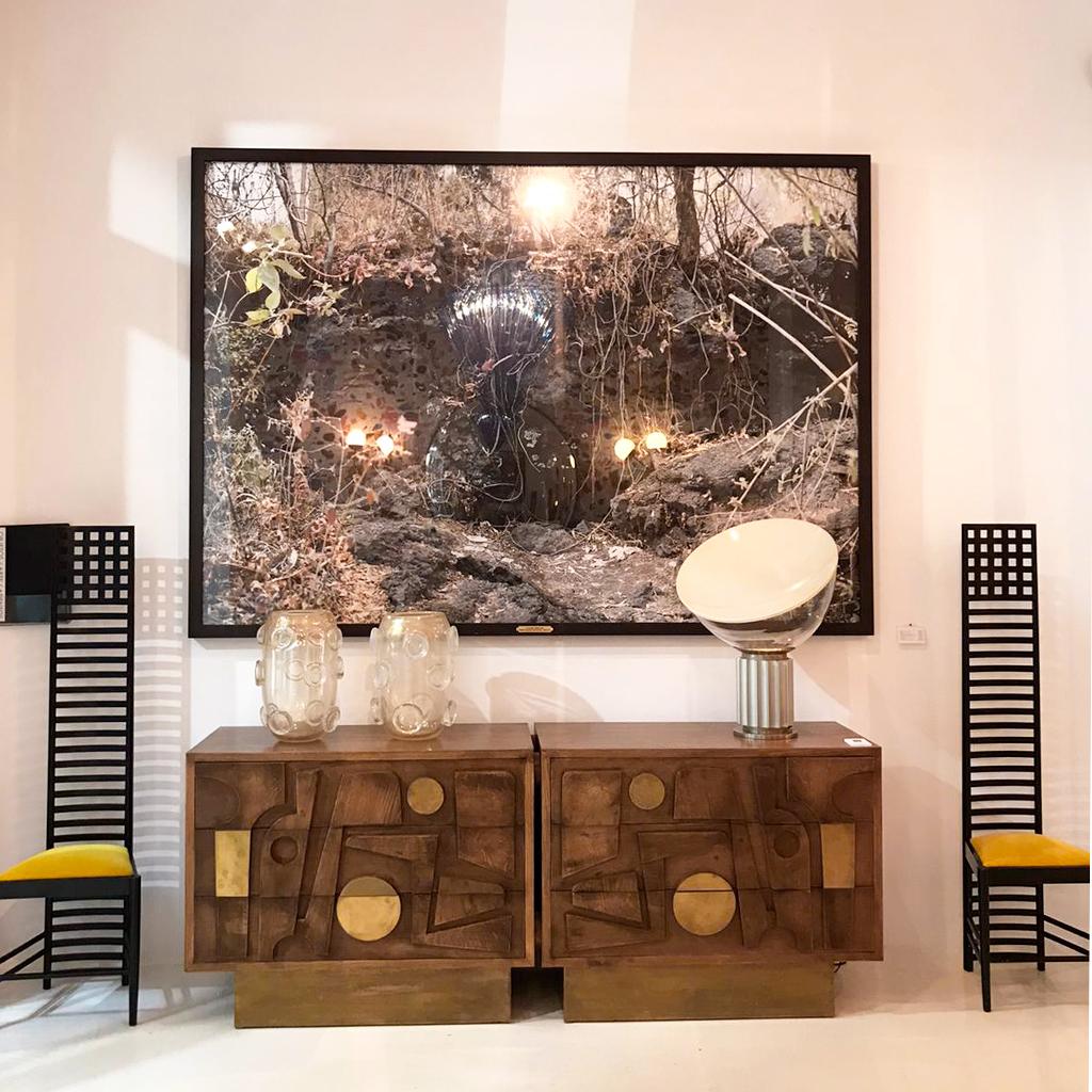 Gibbiflora by Juan Carlos Martínez Jiménez 2008 Mexican Contemporary C Print on For Sale 4