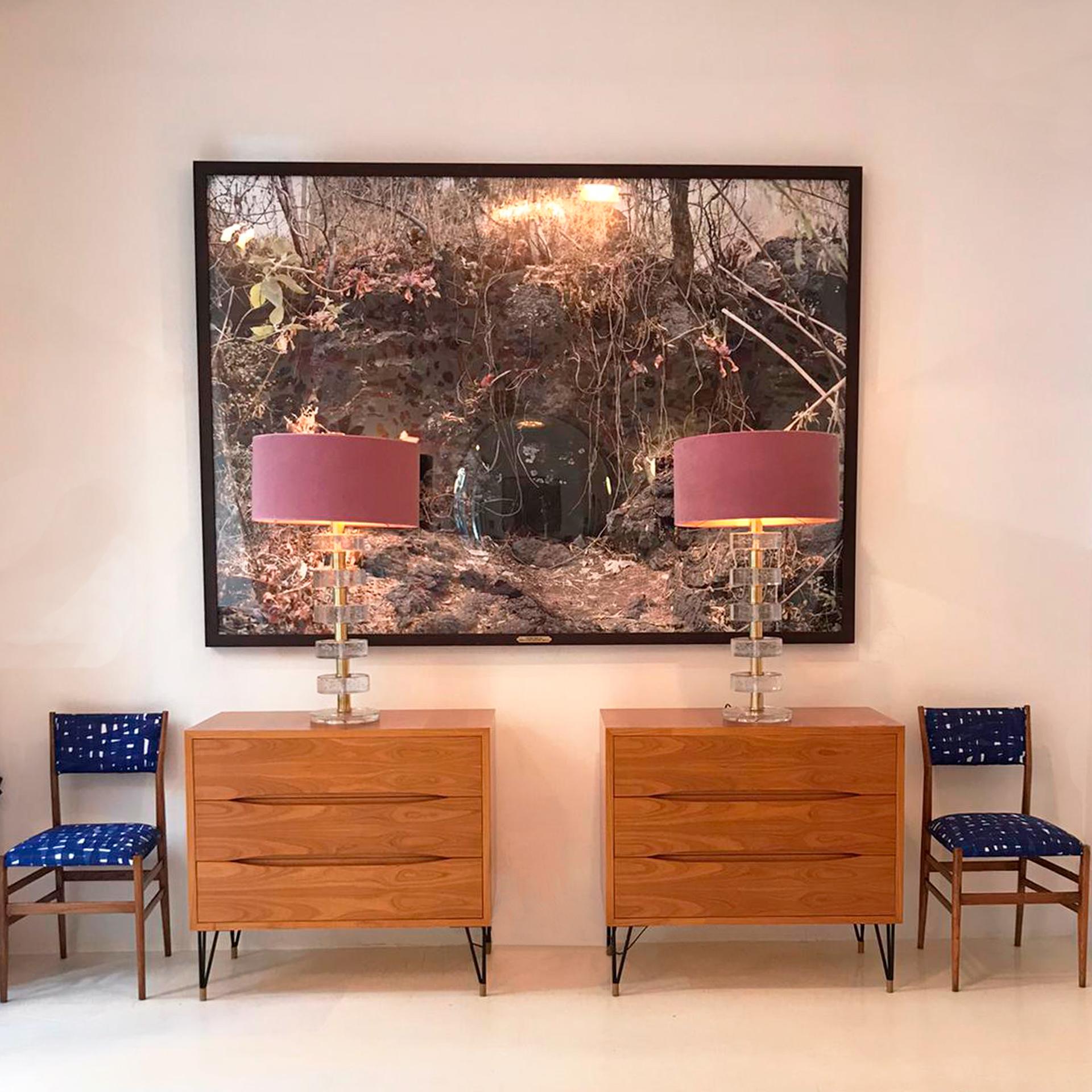 Gibbiflora by Juan Carlos Martínez Jiménez 2008 Mexican Contemporary C Print on For Sale 5