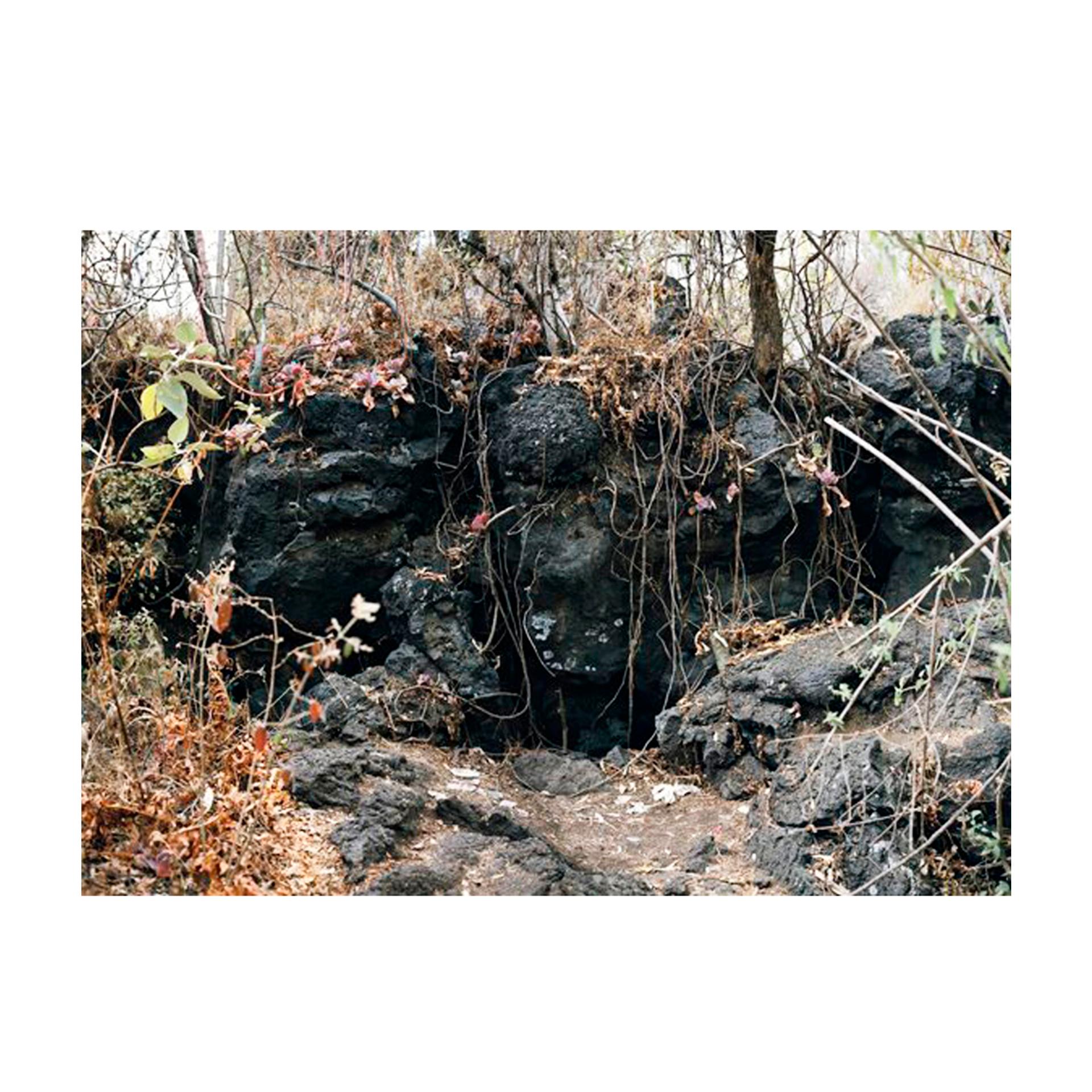 Gibbiflora (Mexico, 2008) by Juan Carlos Martínez Jiménez is a large-format photographic work that captures the artist’s refined sensitivity to form, color, and texture. Executed as a C-print on RC paper, mounted on foam and framed in wood, this