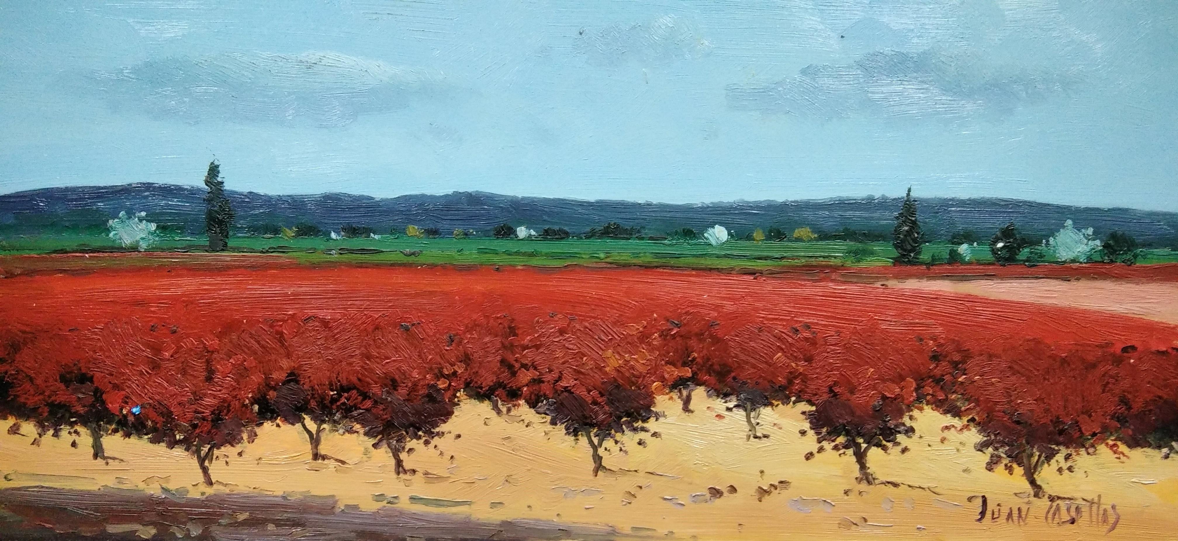 Landscape Painting de Juan Casellas  - Sin título