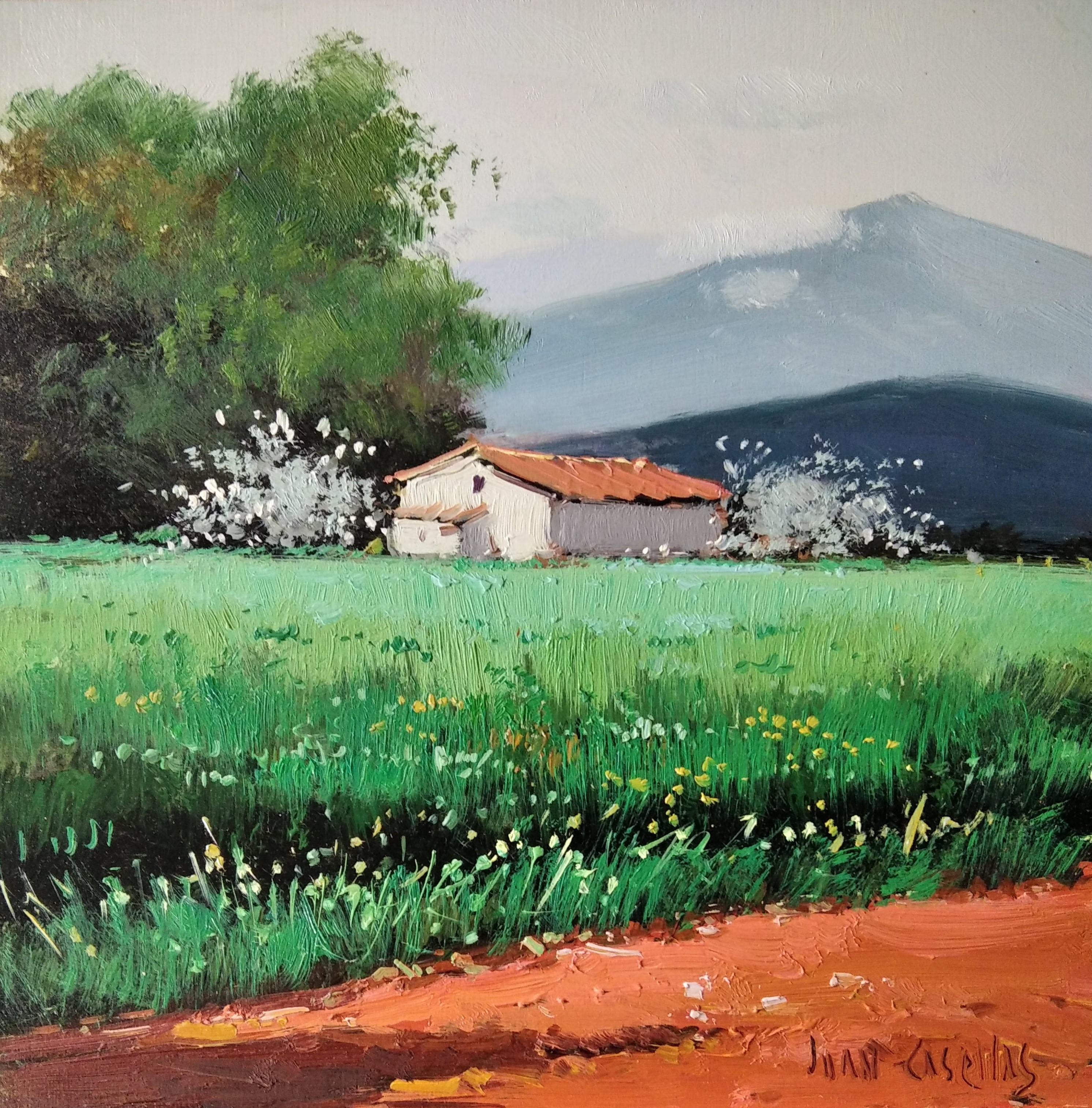 Landscape Painting di Juan Casellas  - Senza titolo