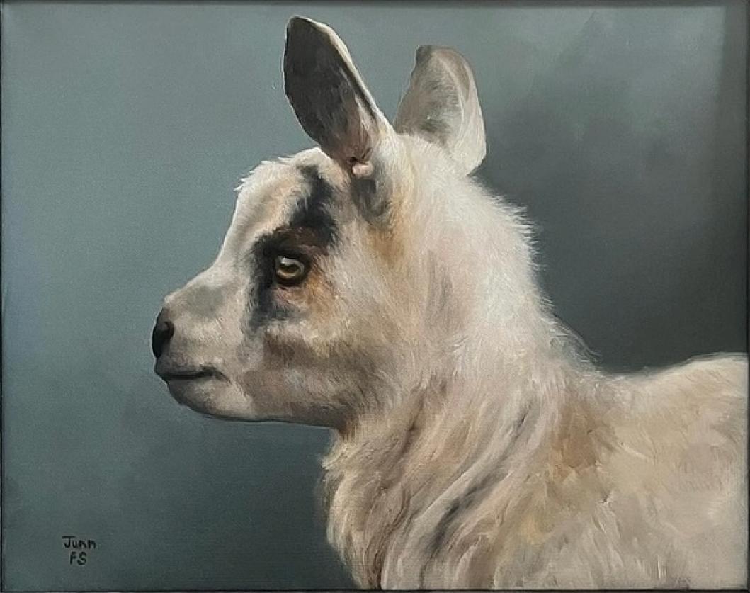 Grumpy Goat  Realism oil 24