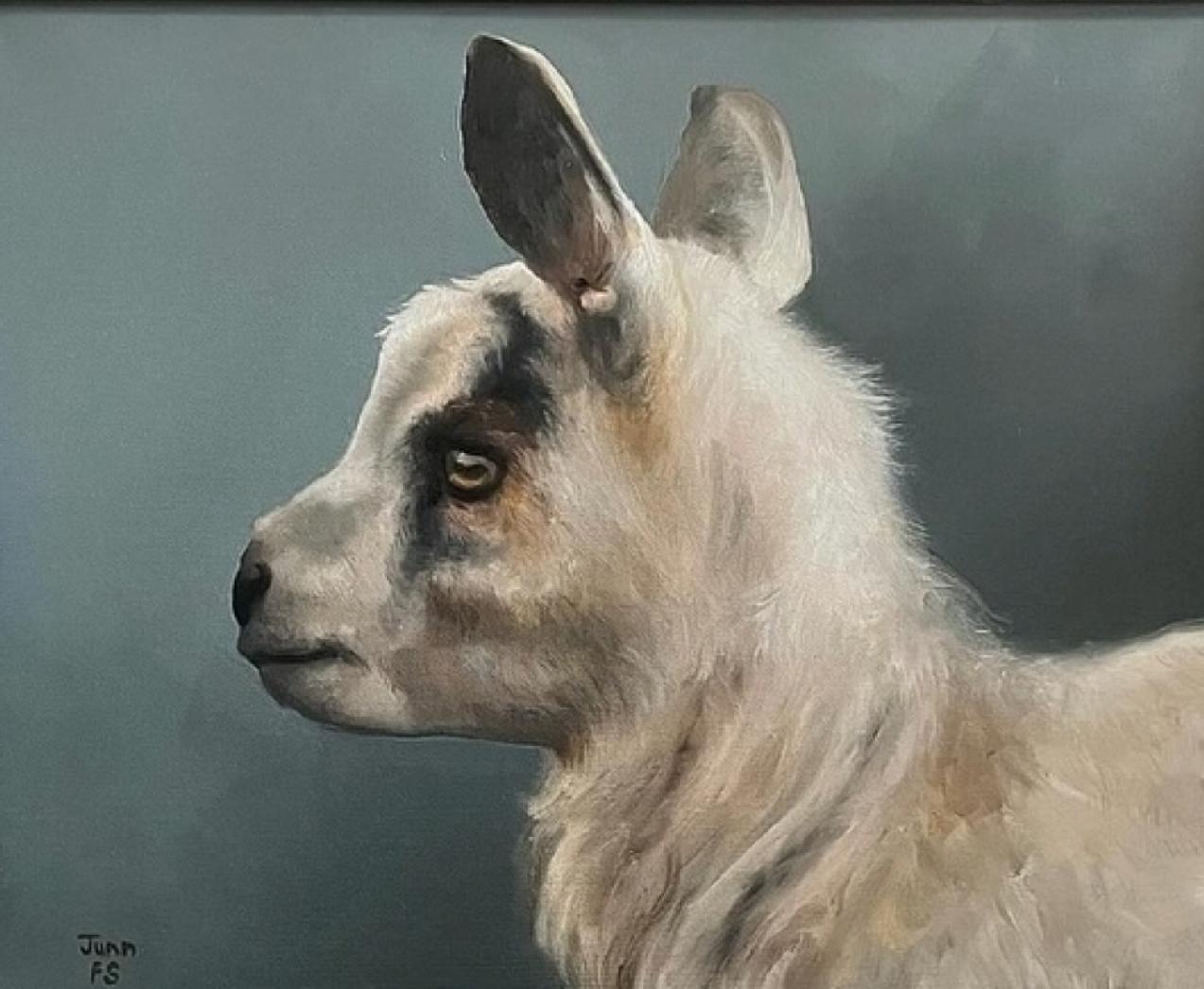 Juan F. Sepulveda
Grumpy Goat  Realism oil 24