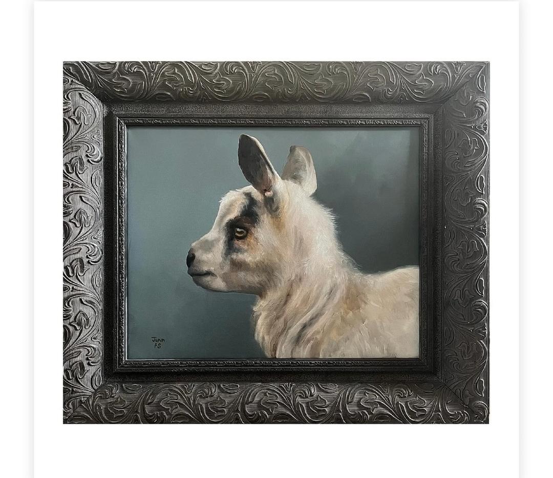 Grumpy Goat  Realism oil 24