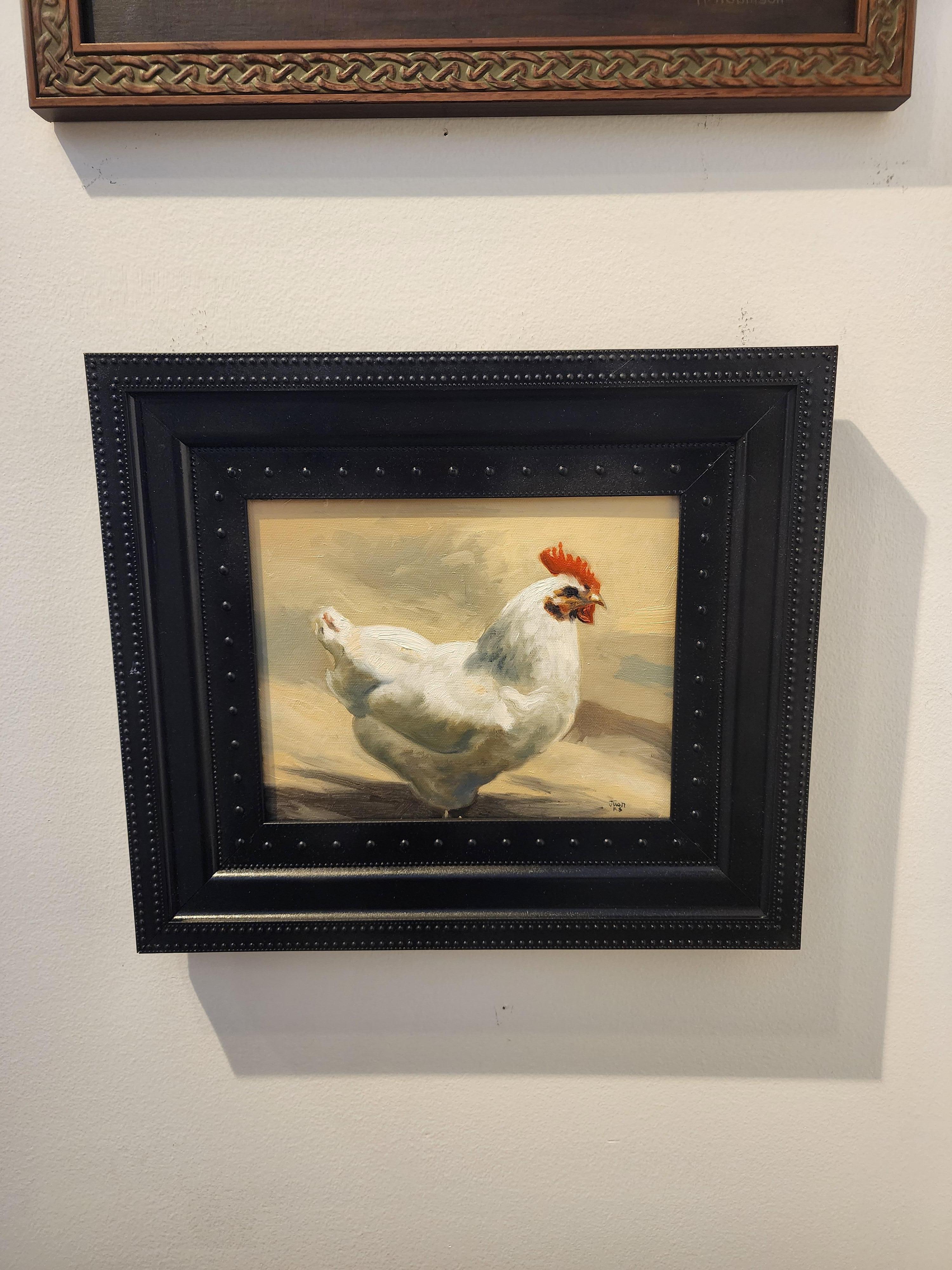 Gallo Realismo olio   incorniciato 16