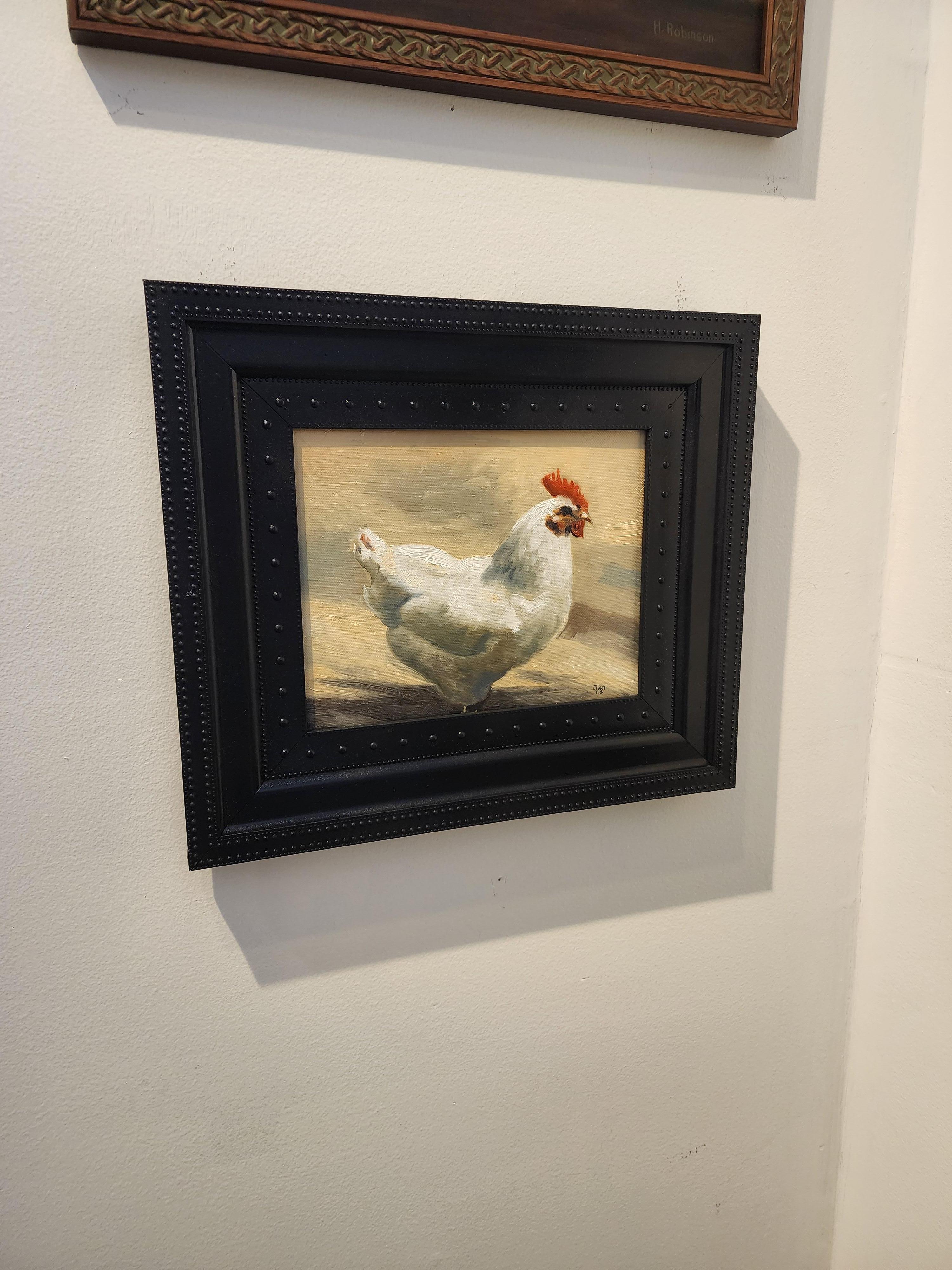 Gallo Realismo olio   incorniciato 16