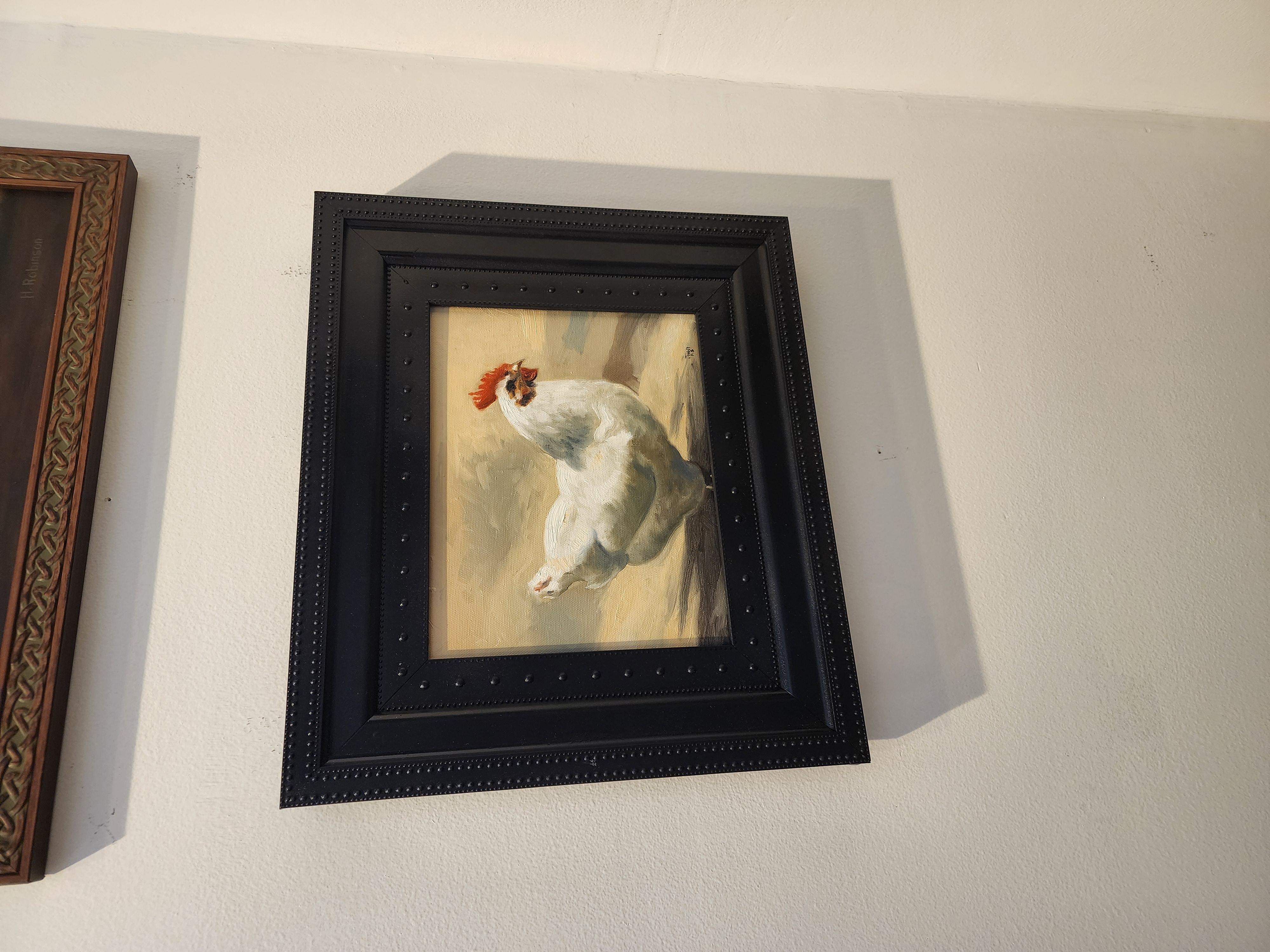 Gallo Realismo olio   incorniciato 16