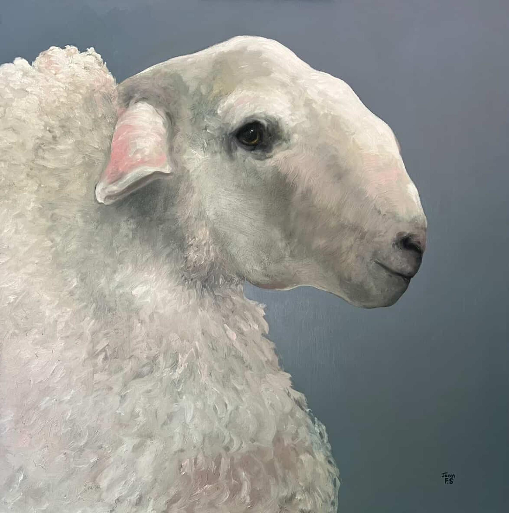 The Sheep #6 Realism 36" x 36" Oil canvas gallery wrapped Counting Sheep On Sale