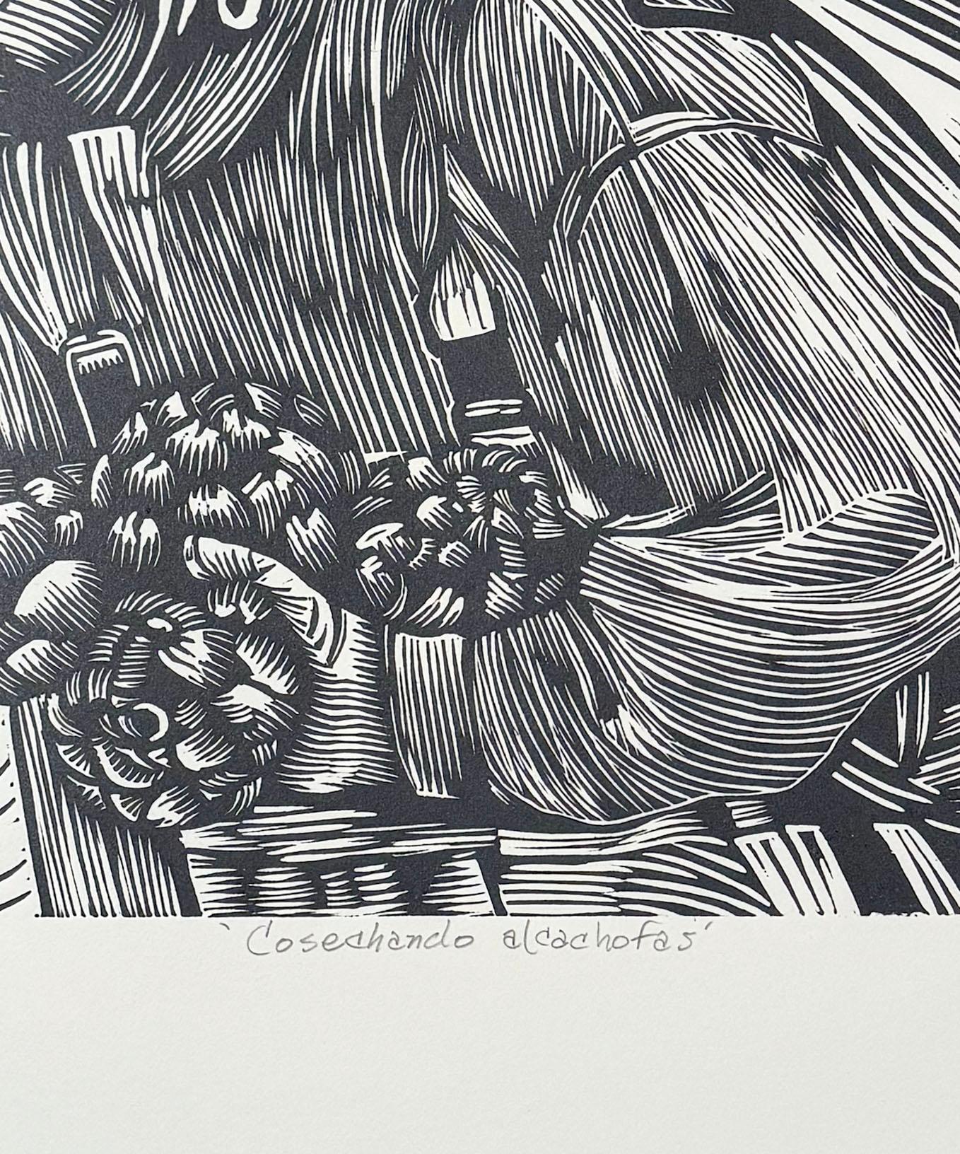 Cosechando Alcachofas (harvesting artichokes), by Juan Fuentes For Sale 3