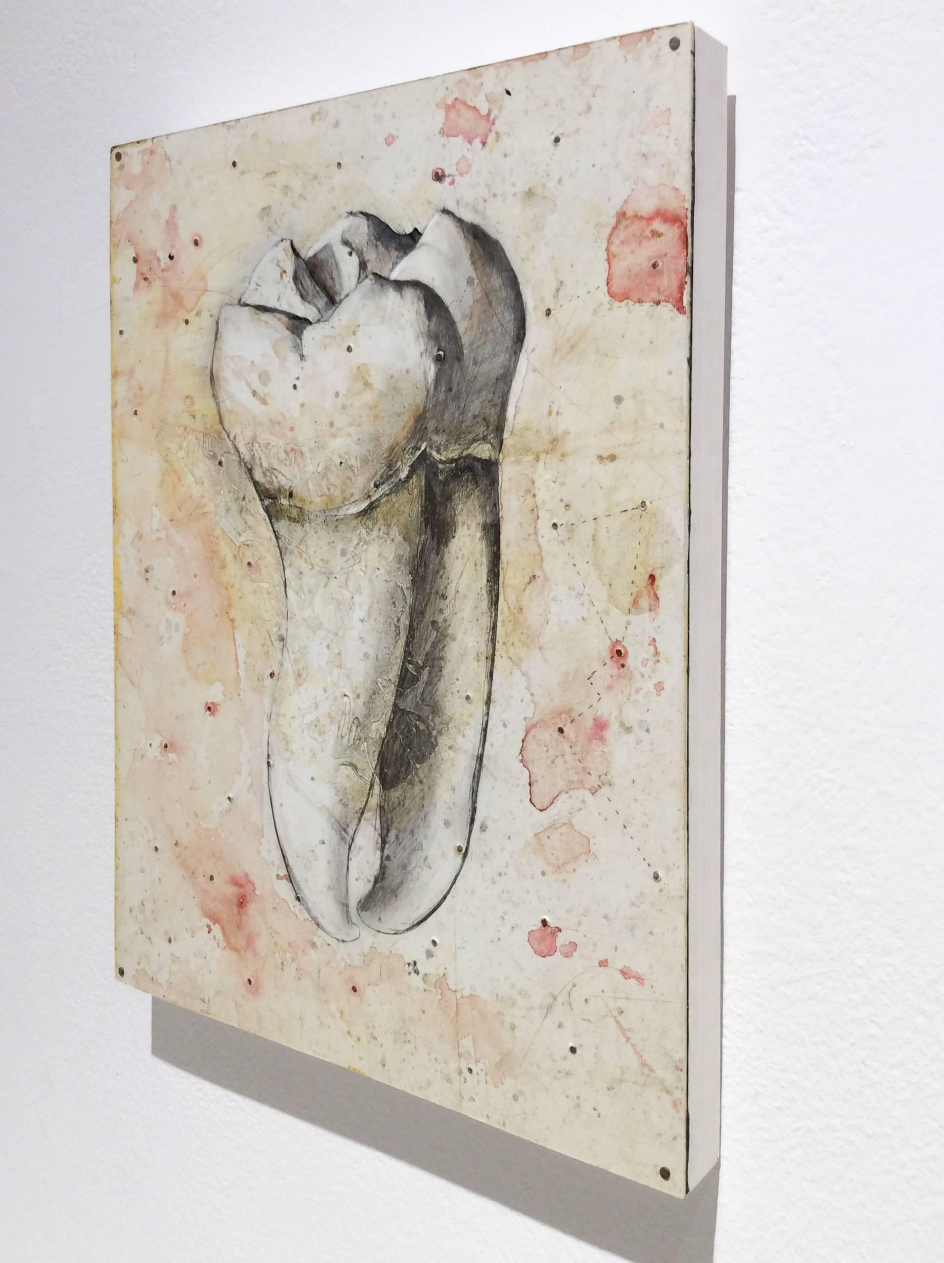 Almas y Dientes: Panel 27 (Mixed Media Drawing of Tooth Mounted on Panel) - Art by Juan Garcia-Nunez