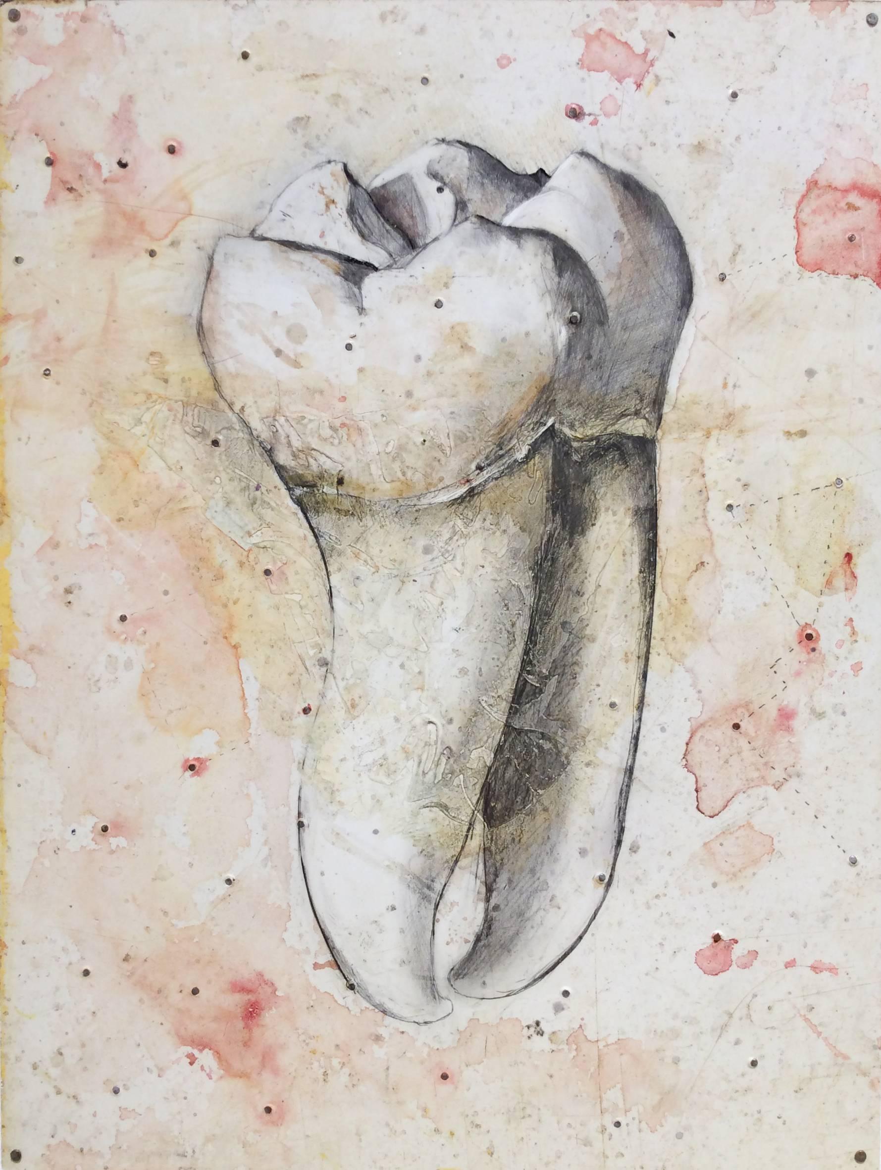 Juan Garcia-Nunez Still-Life - Almas y Dientes: Panel 27 (Mixed Media Drawing of Tooth Mounted on Panel)