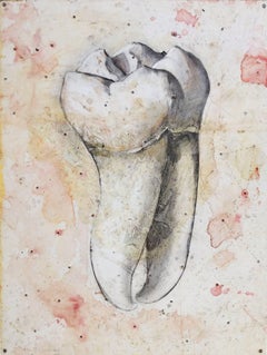 Almas y Dientes: Panel 27 (Mixed Media Drawing of Tooth Mounted on Panel)