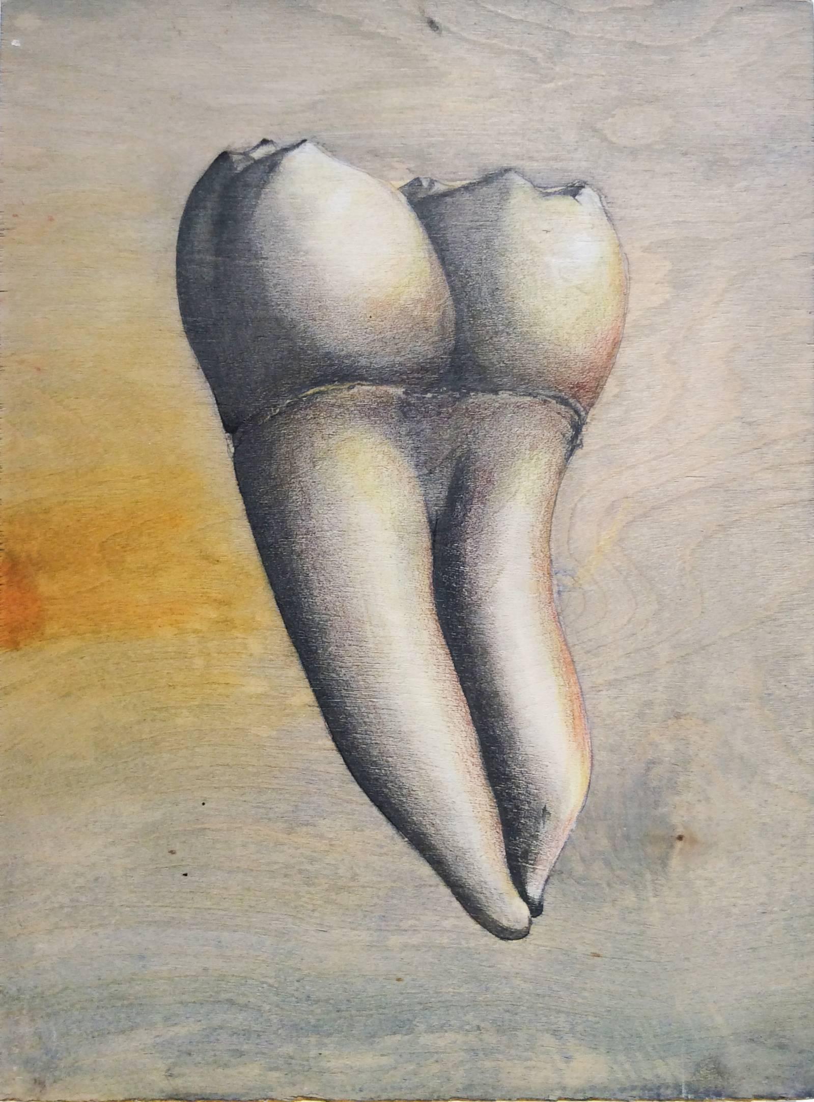 Juan Garcia-Nunez Still-Life - Almas y Dientes: Panel 30 (Mixed Media Drawing of Tooth on Natural Wood Panel)