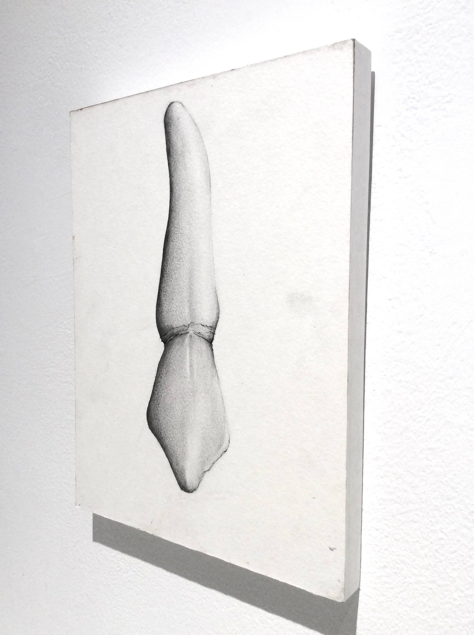Almas y Dientes: Panel 5 (Graphite Drawing of Tooth on Paper Mounted on Panel) - Beige Still-Life by Juan Garcia-Nunez