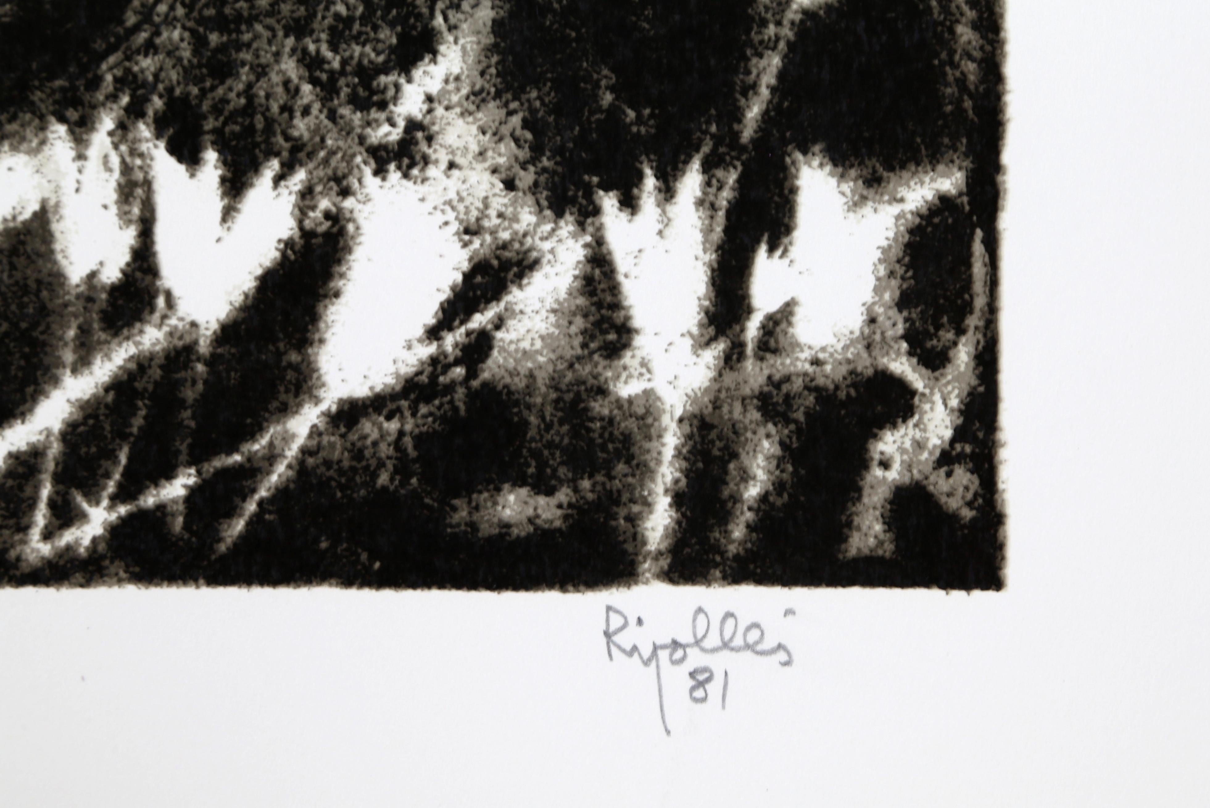 Adam and Eve II

Juan Garcia Ripolles
Spanish (1932)

Date: 1981
Lithograph, signed and numbered in pencil
Edition of 12
Image Size: 14 x 16.75 inches
Size: 19.5 x 27.5 in. (49.53 x 69.85 cm)