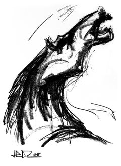 "Horse called wind" - Horizontal black and white horse giclee.