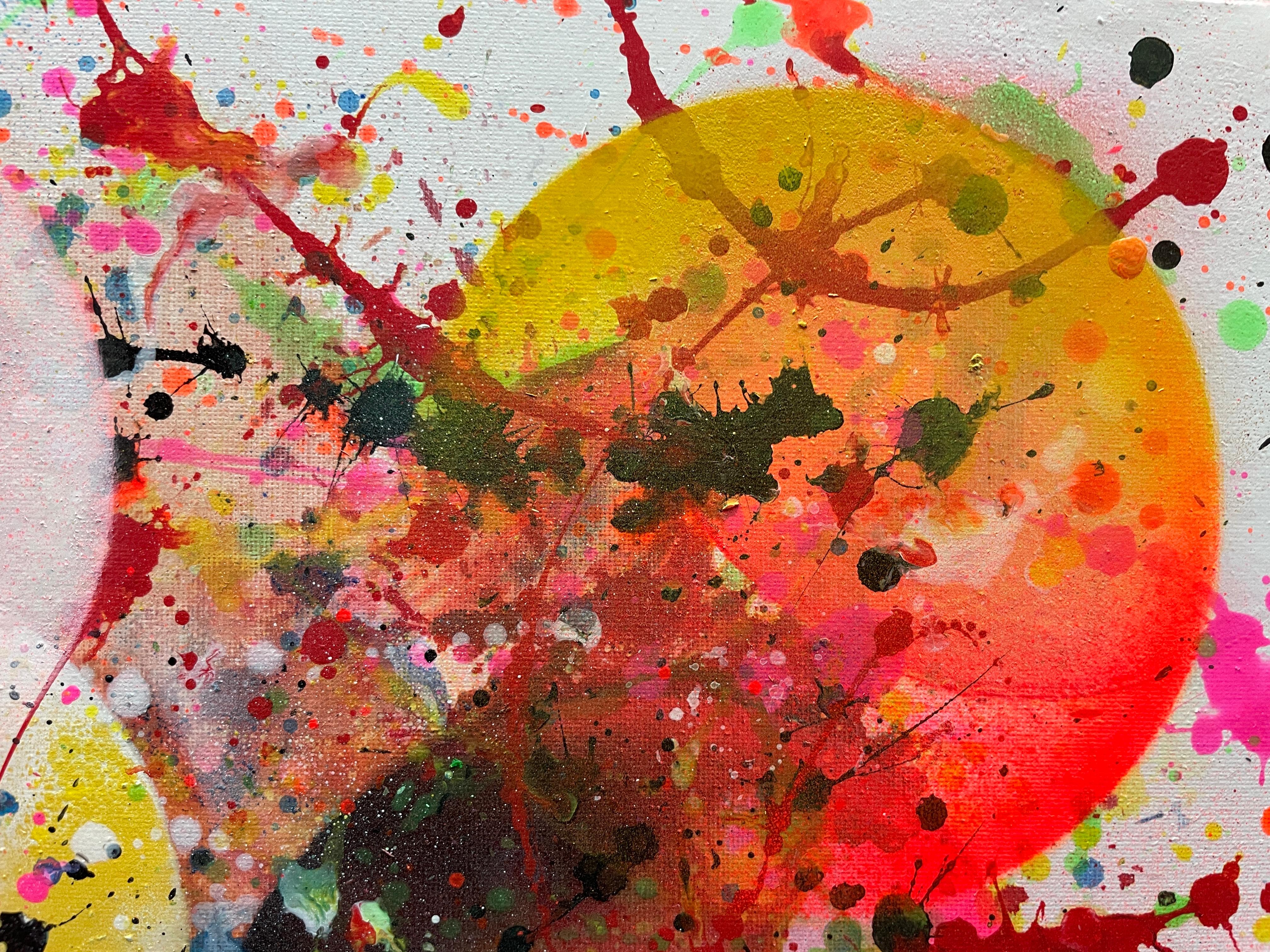 Ave Fenix 011 im Angebot 9