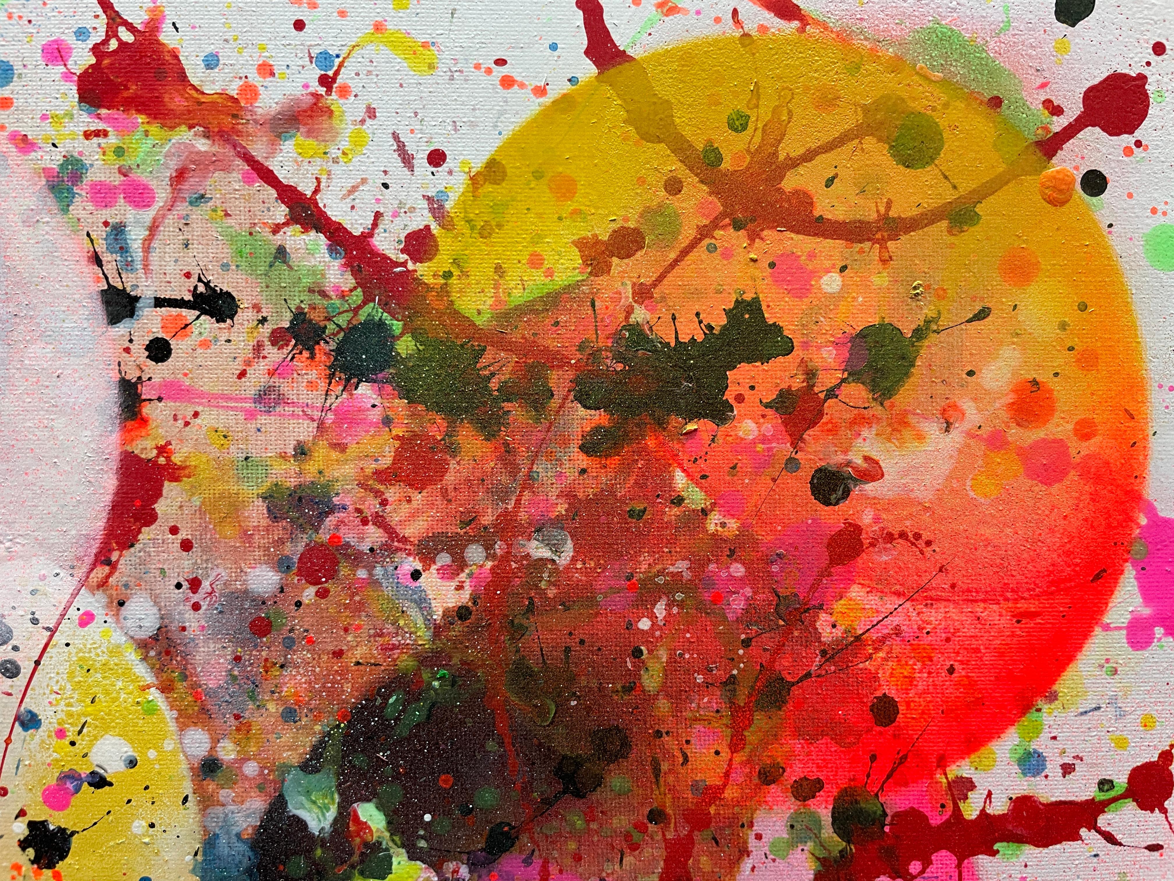 Ave Fenix 011 im Angebot 10