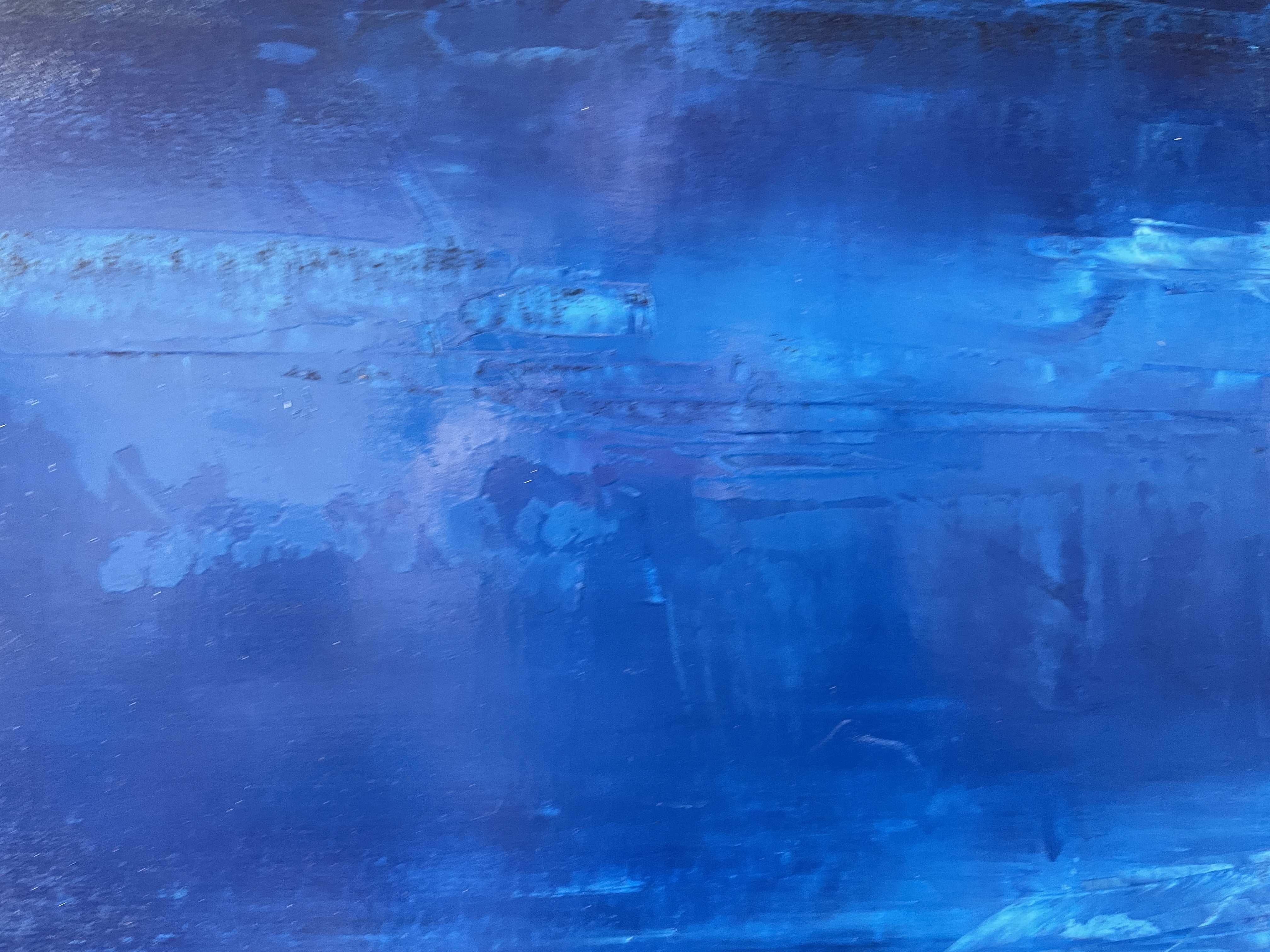 Blue Horizon of Peace For Sale 12