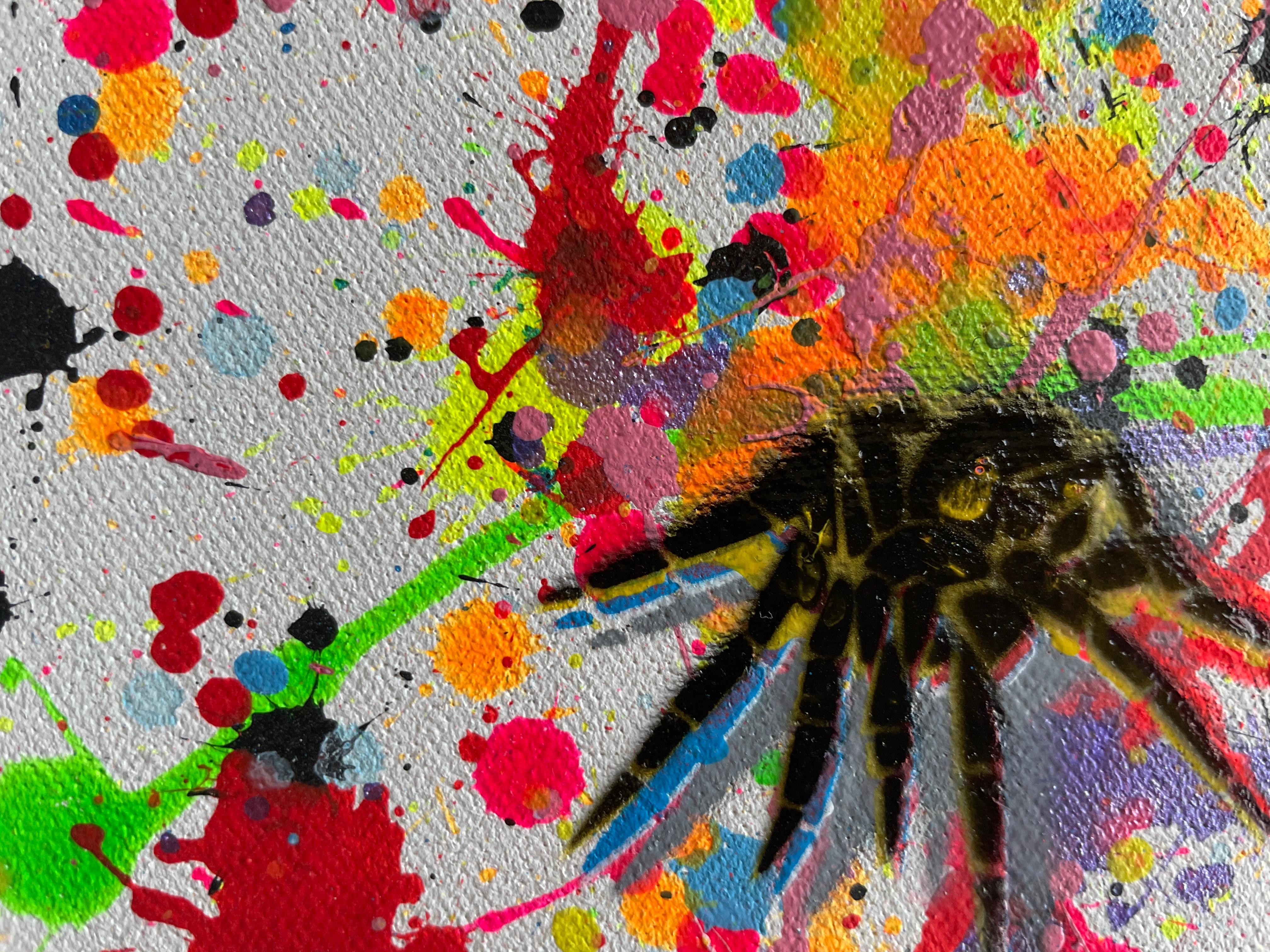 Insekten 007 im Angebot 1