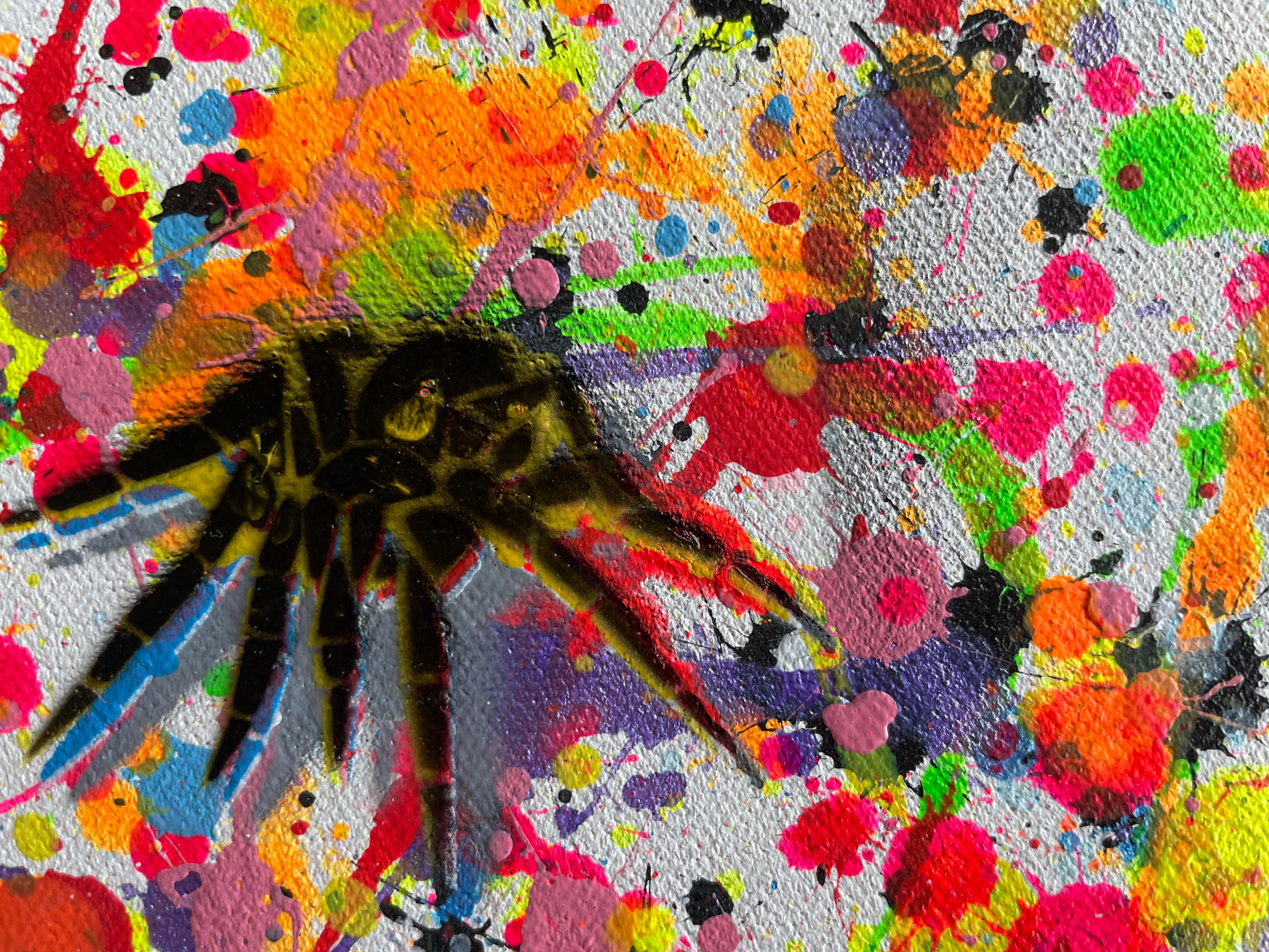 Insekten 007 im Angebot 4