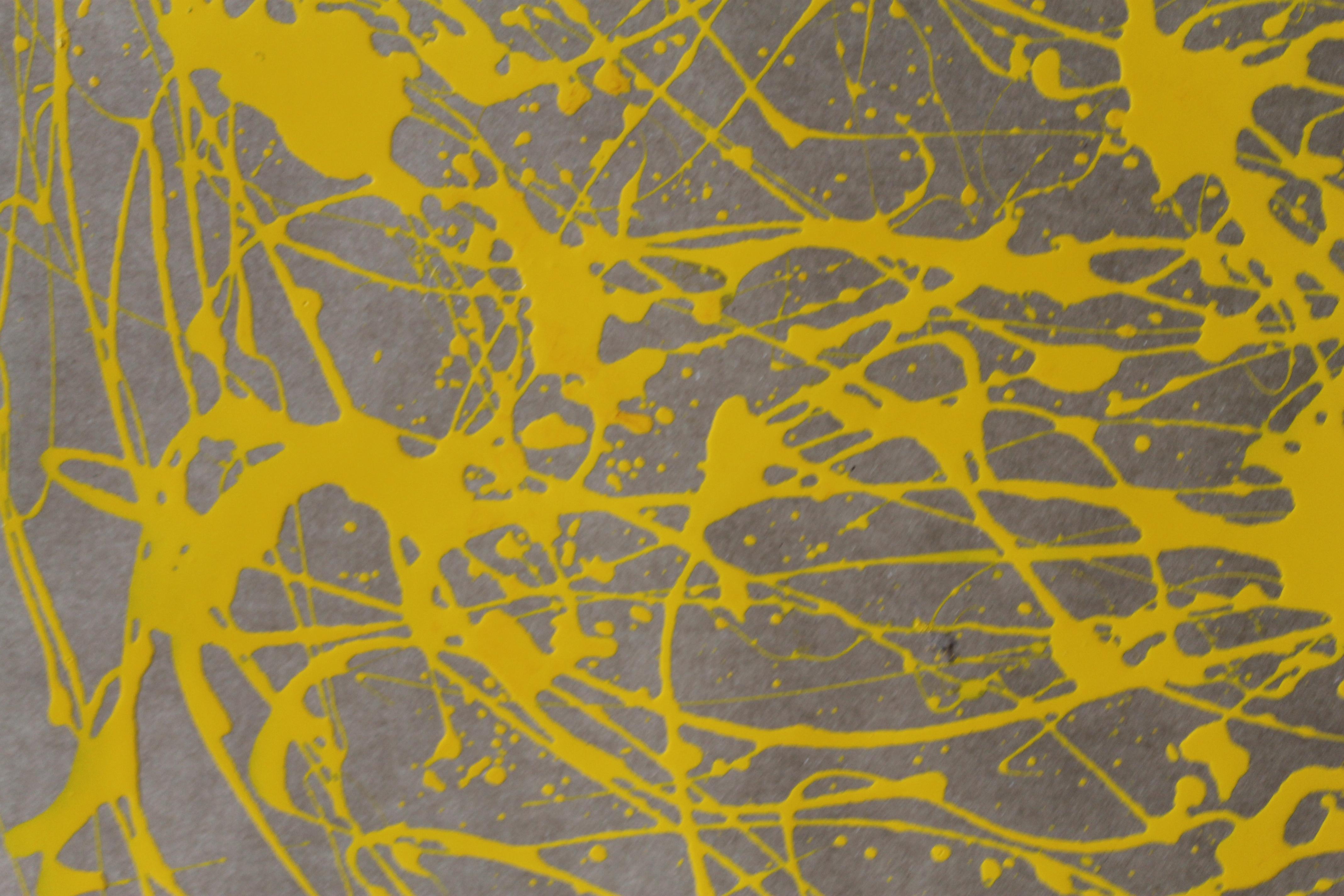 Questo quadro astratto, realizzato su una base di cartone, presenta un'esplosione di energia e dinamismo, caratteristica dello stile action painting. L'uso di smalti e vernici acriliche offre una ricca varietà di texture e lucentezze, creando
