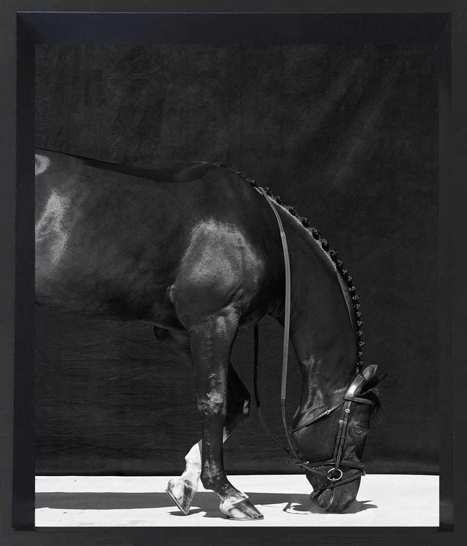 Brainpower II, III and I. Triptych. From The Horses Series - Photograph by Juan Lamarca